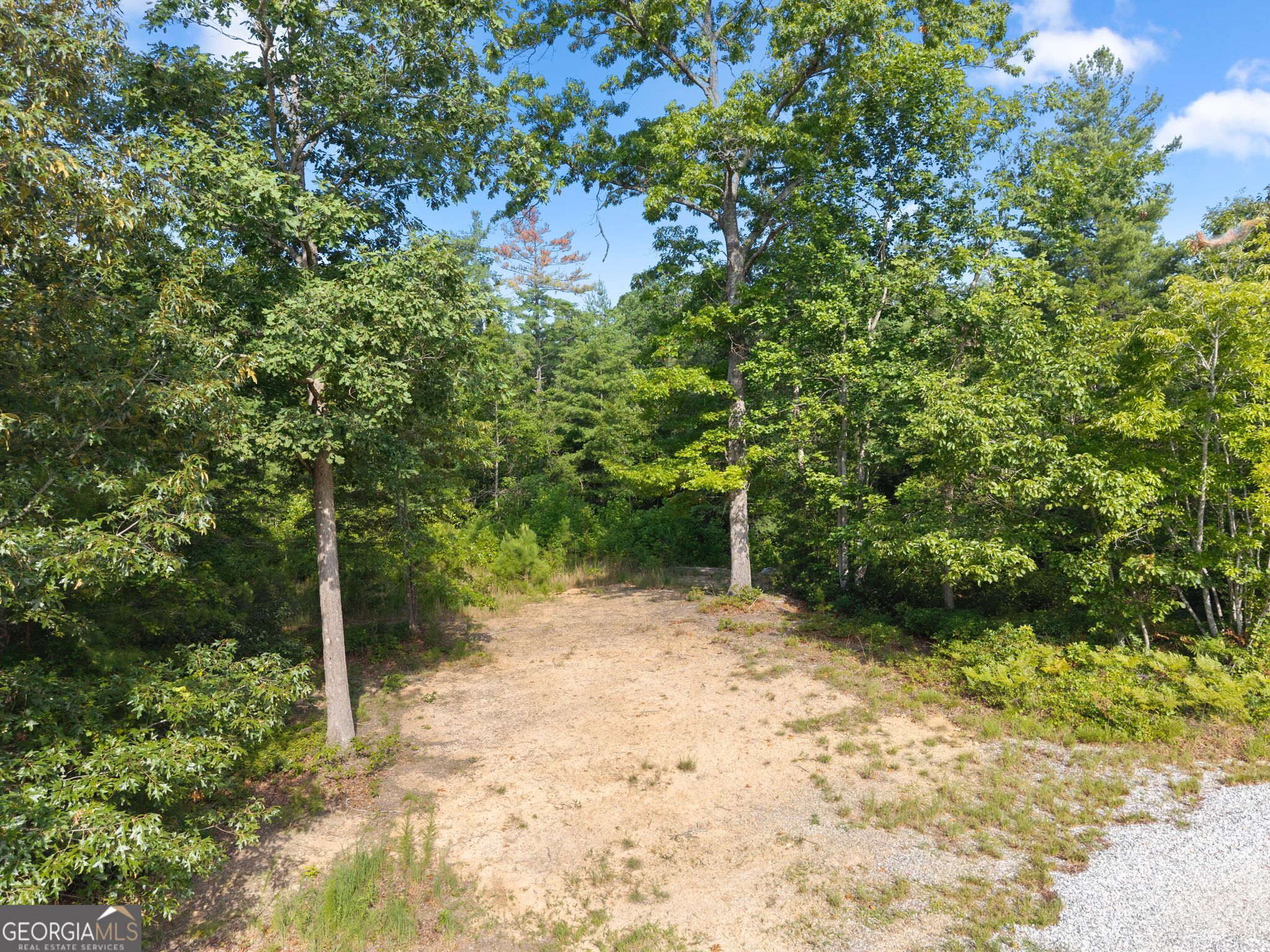 4061 Property Photo 79