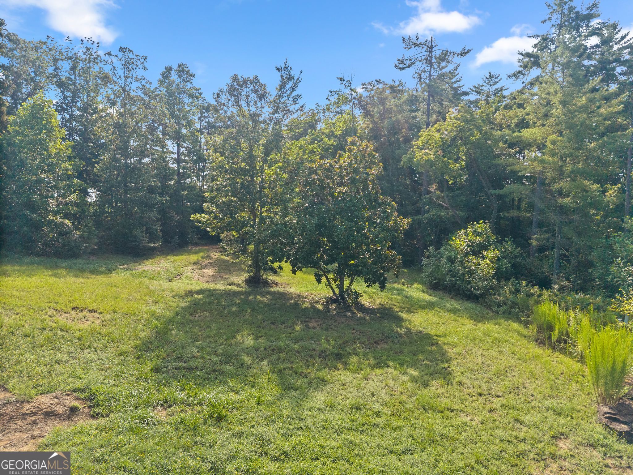 4061 Property Photo 80