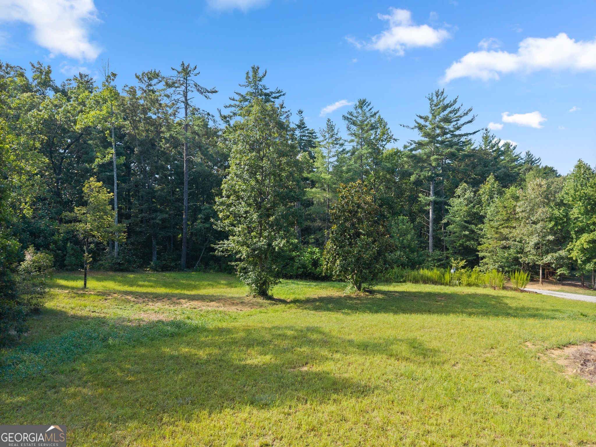 4061 Property Photo 81