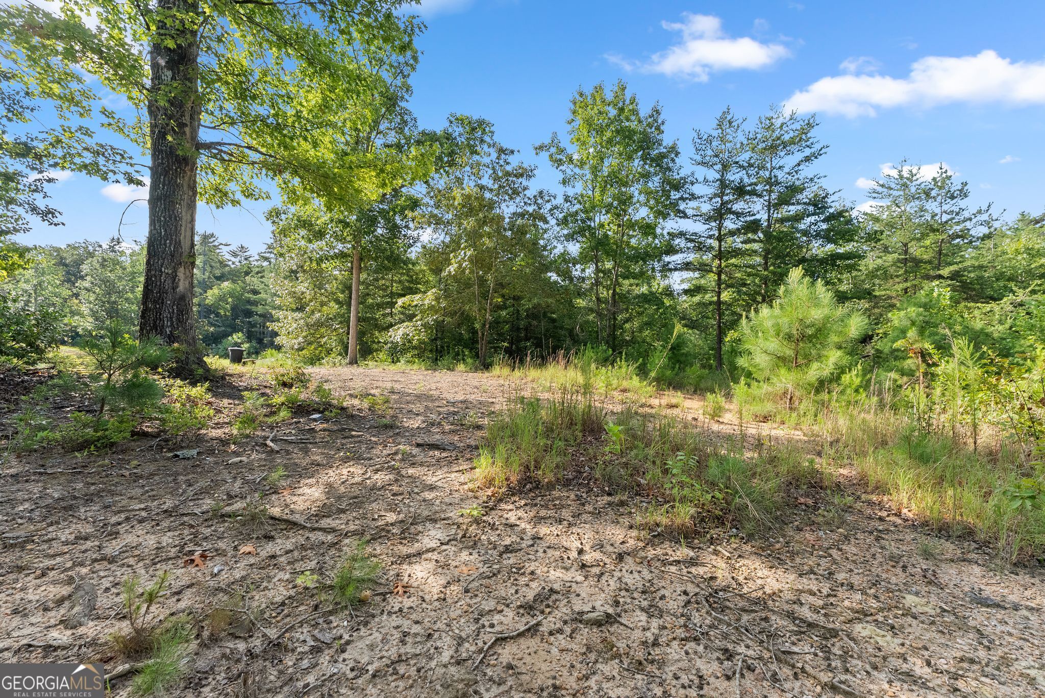 4061 Property Photo 102
