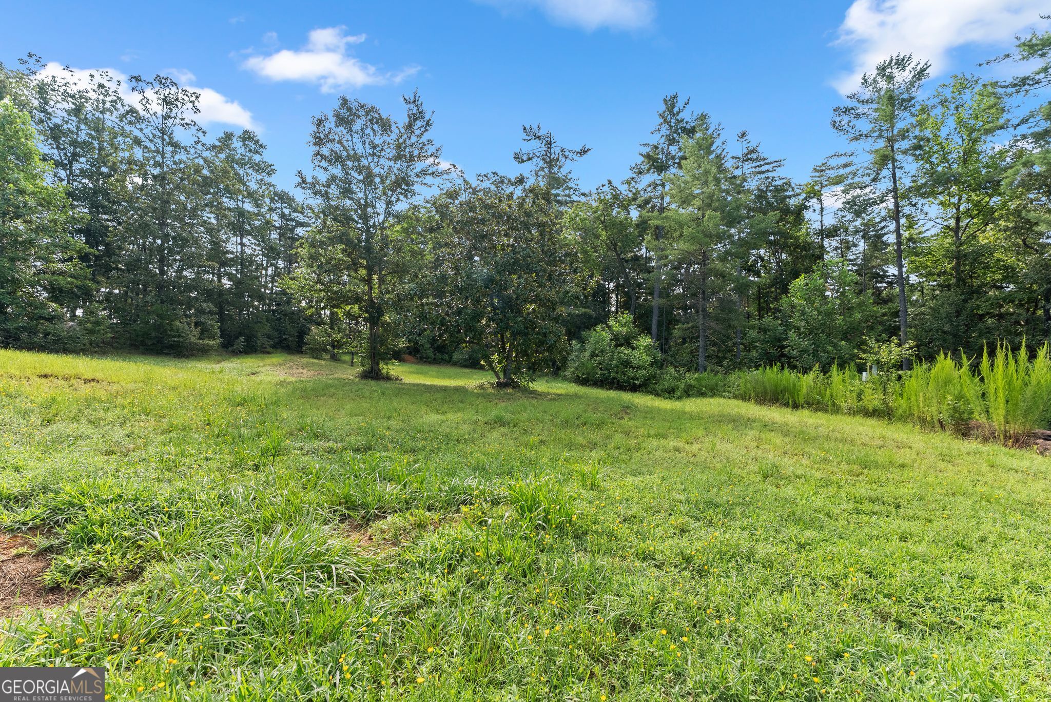 4061 Property Photo 103