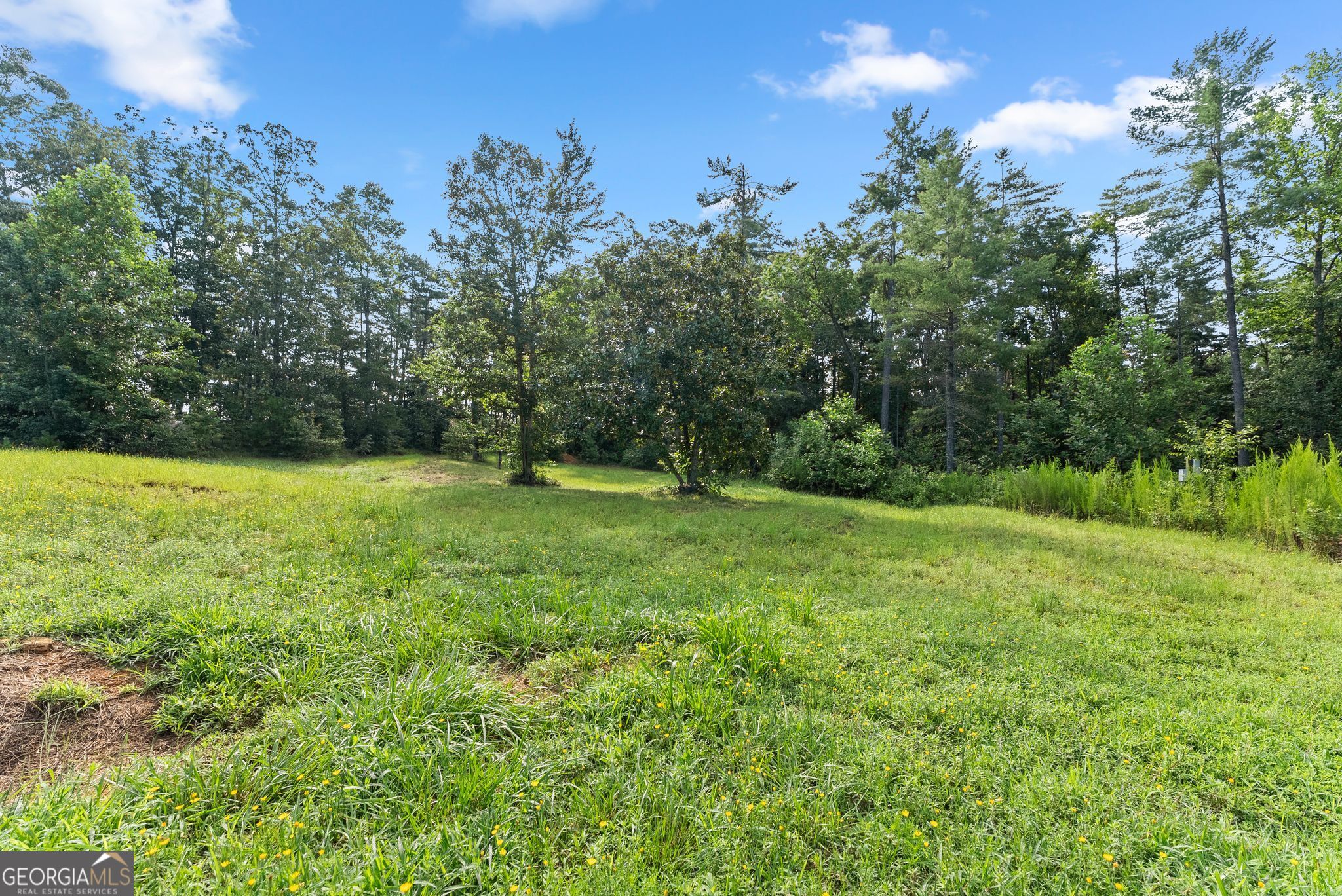 4061 Property Photo 104