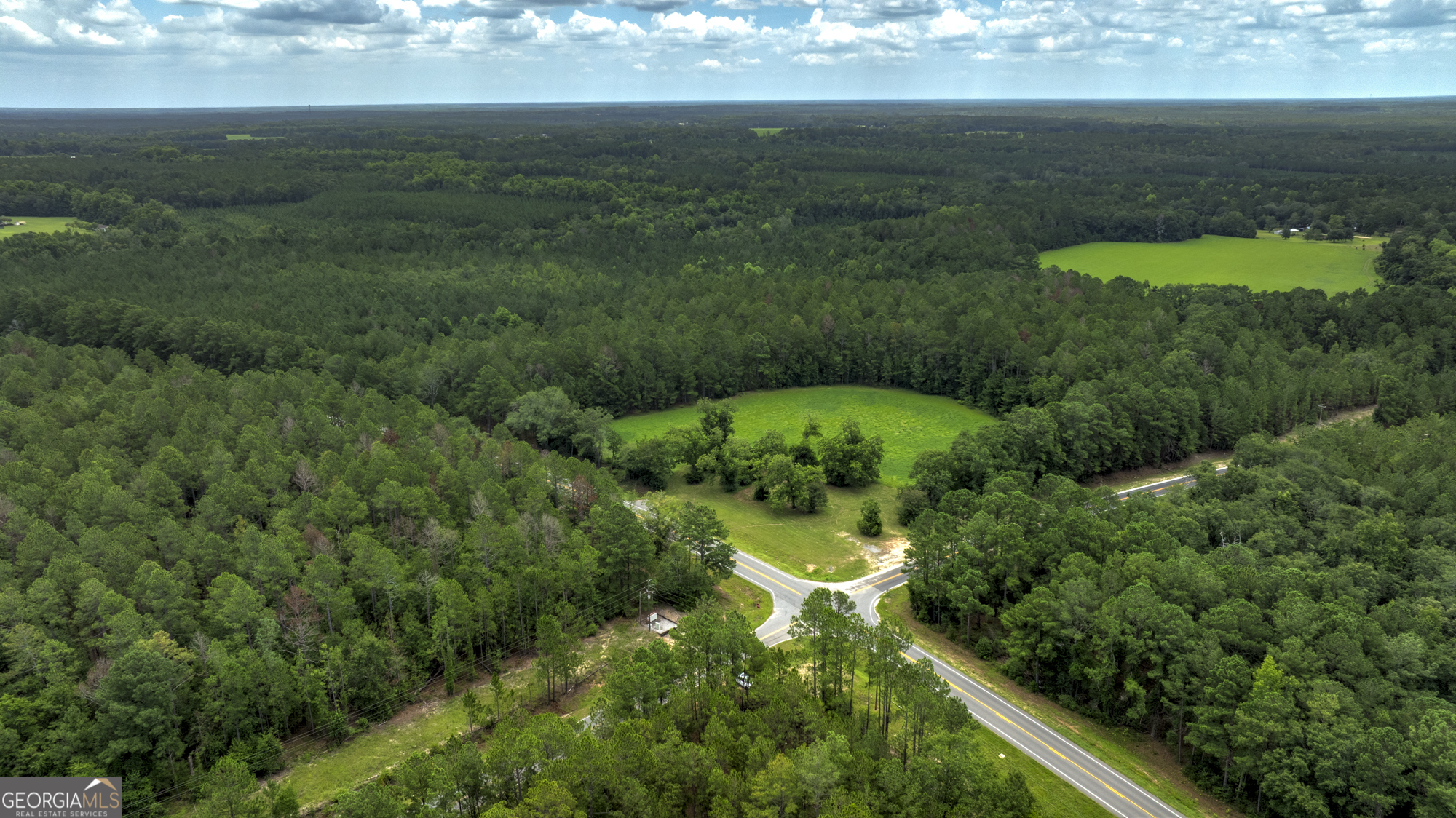 0 Ga Highway 169 Property Photo 1