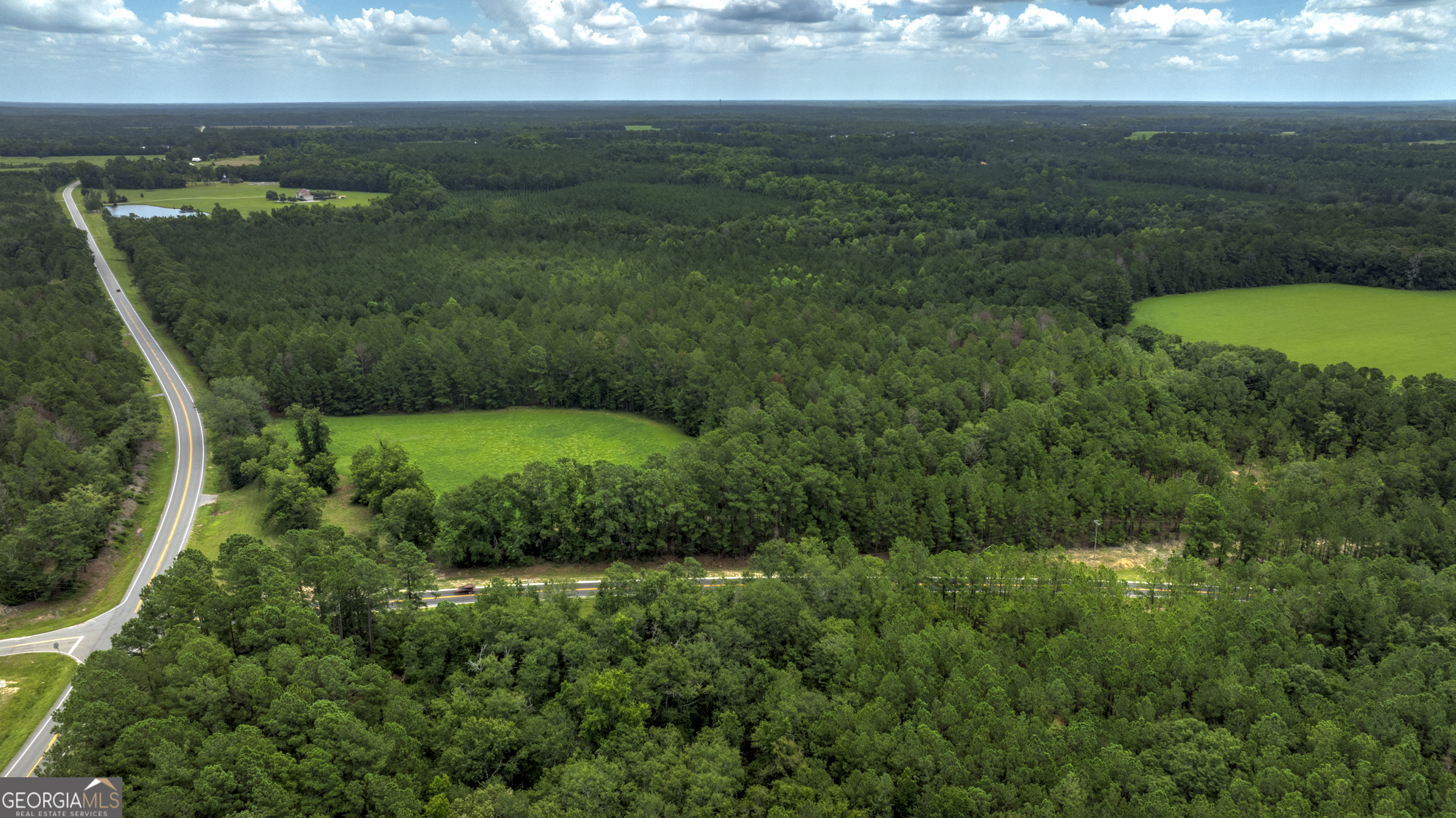 0 Ga Highway 169 Property Photo 2