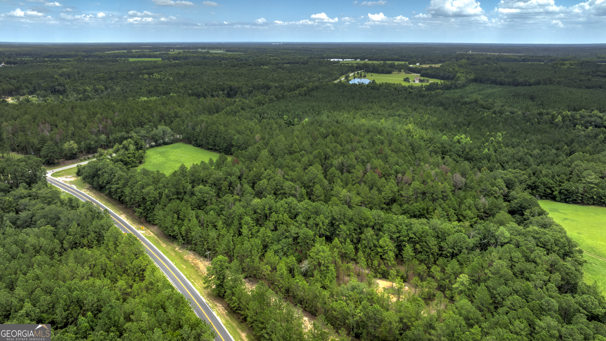0 Ga Highway 169 Property Photo 3
