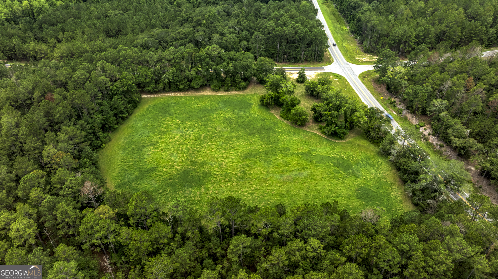 0 Ga Highway 169 Property Photo 4