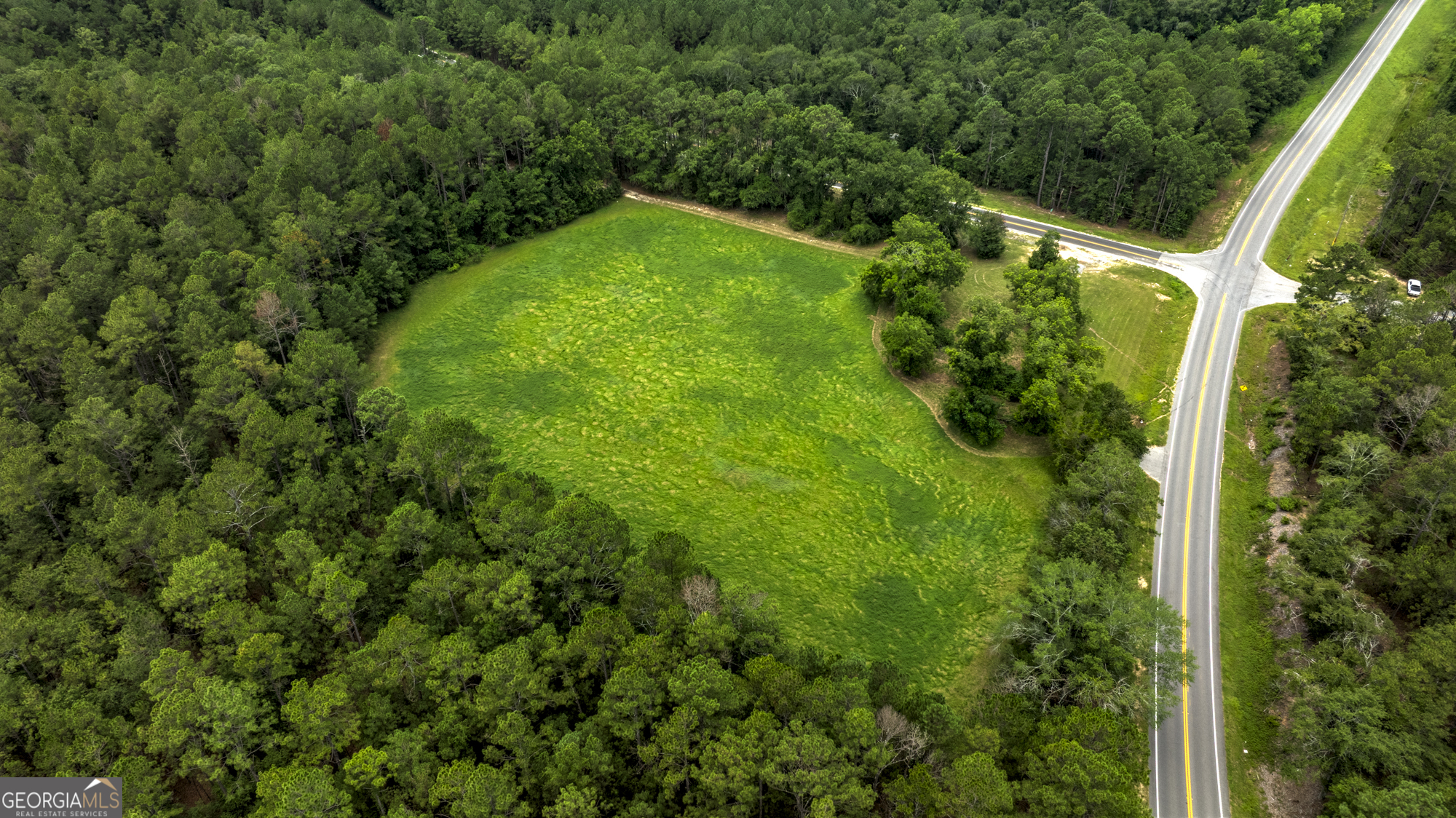 0 Ga Highway 169 Property Photo 5