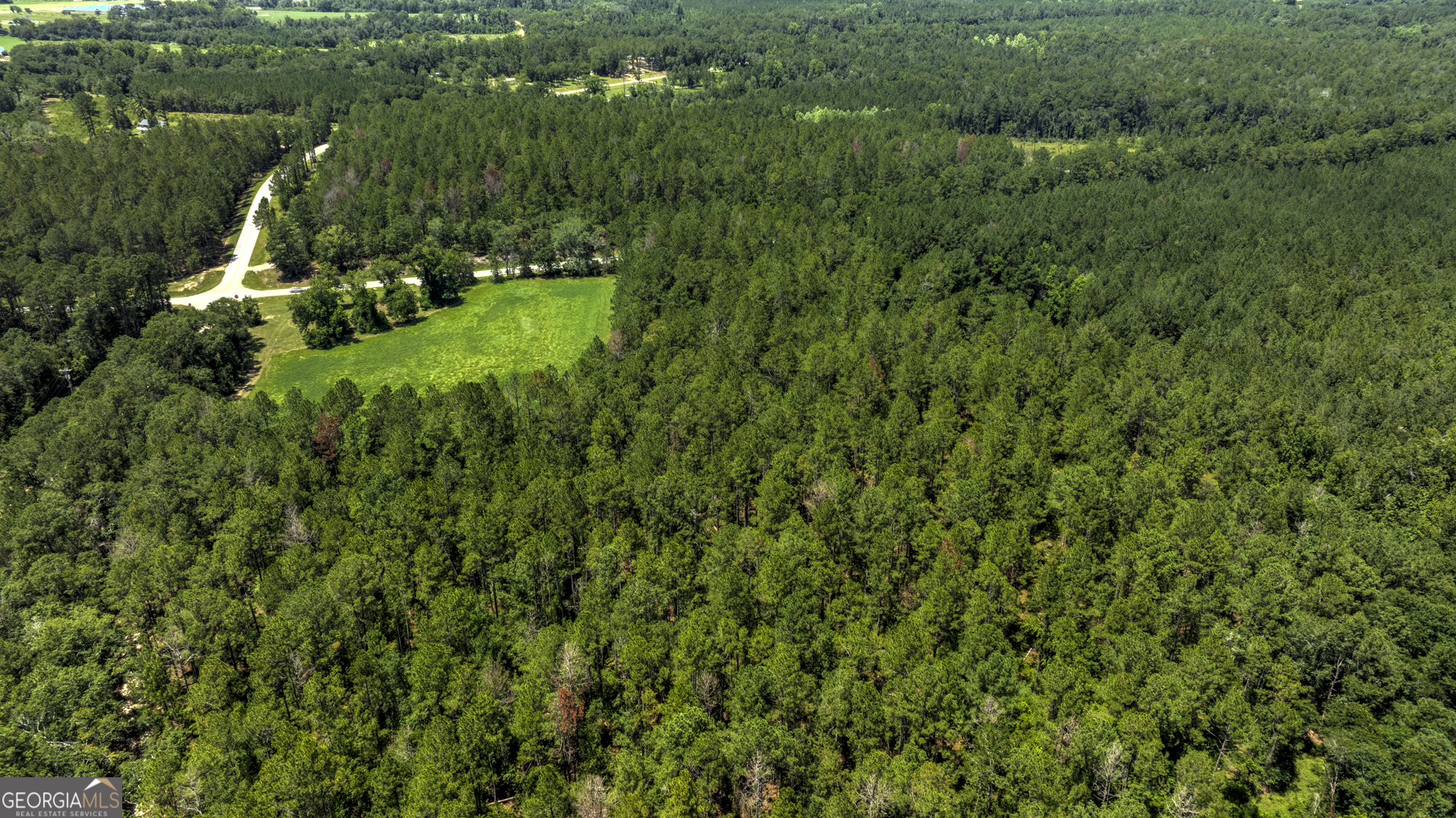 0 Ga Highway 169 Property Photo 6