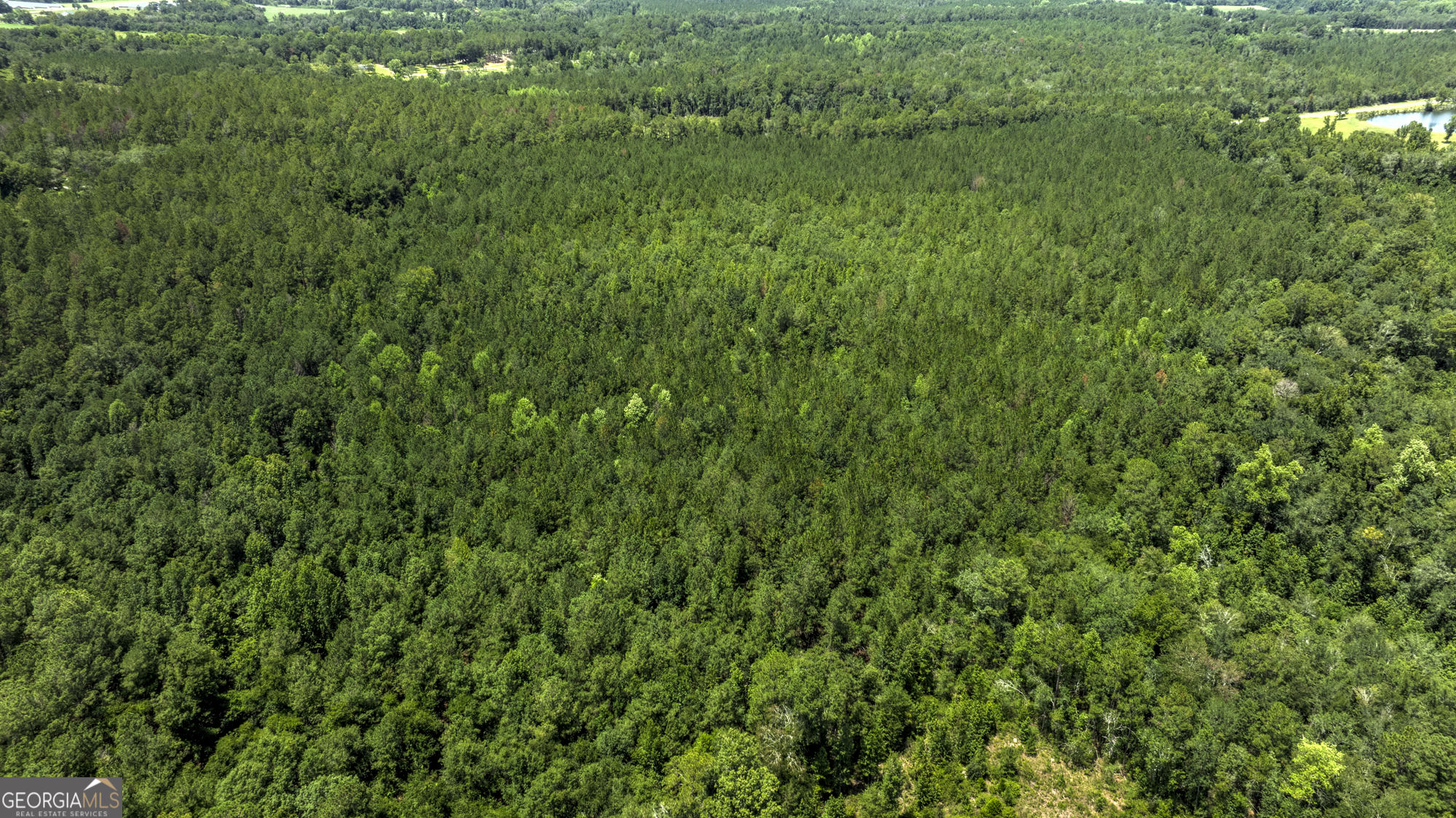 0 Ga Highway 169 Property Photo 7