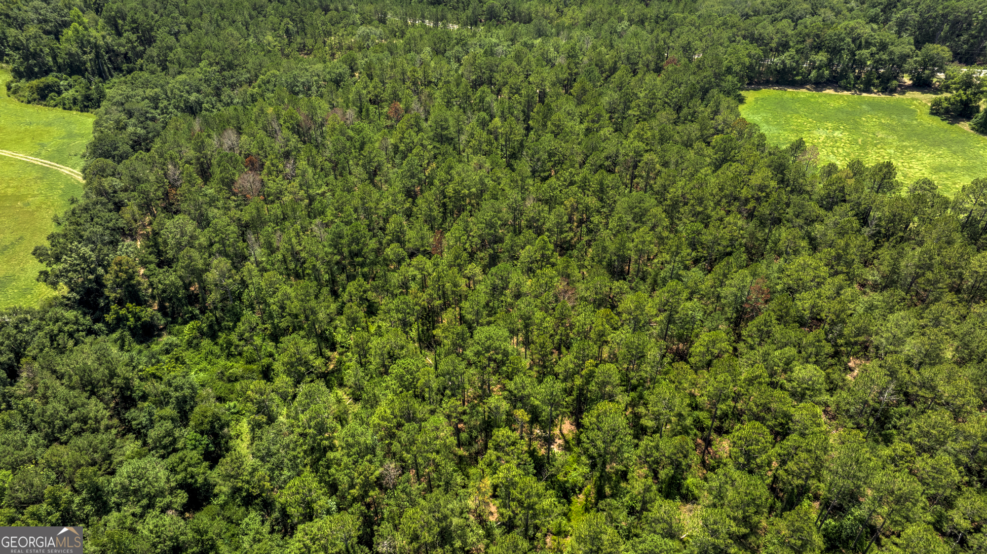 0 Ga Highway 169 Property Photo 8