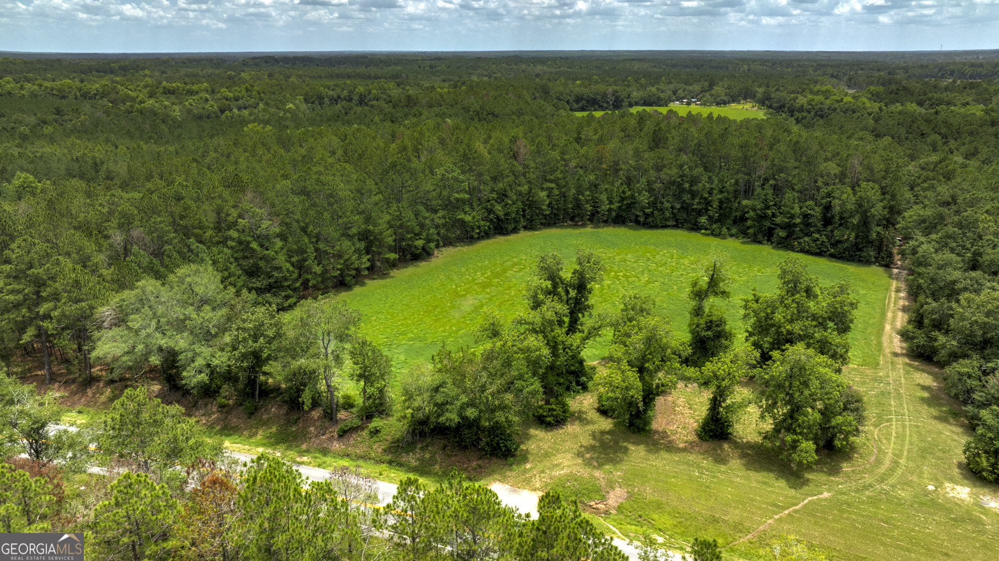 0 Ga Highway 169 Property Photo 9