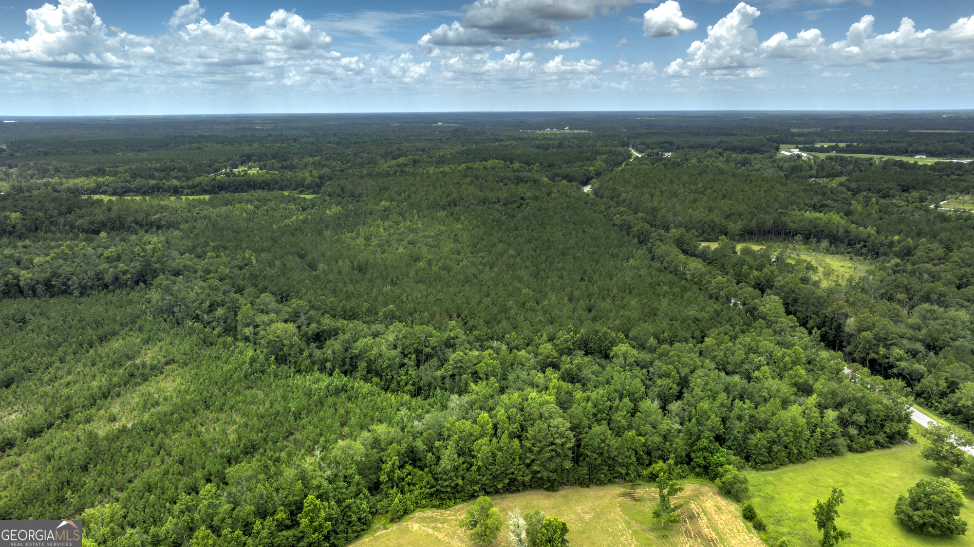 0 Ga Highway 169 Property Photo 10
