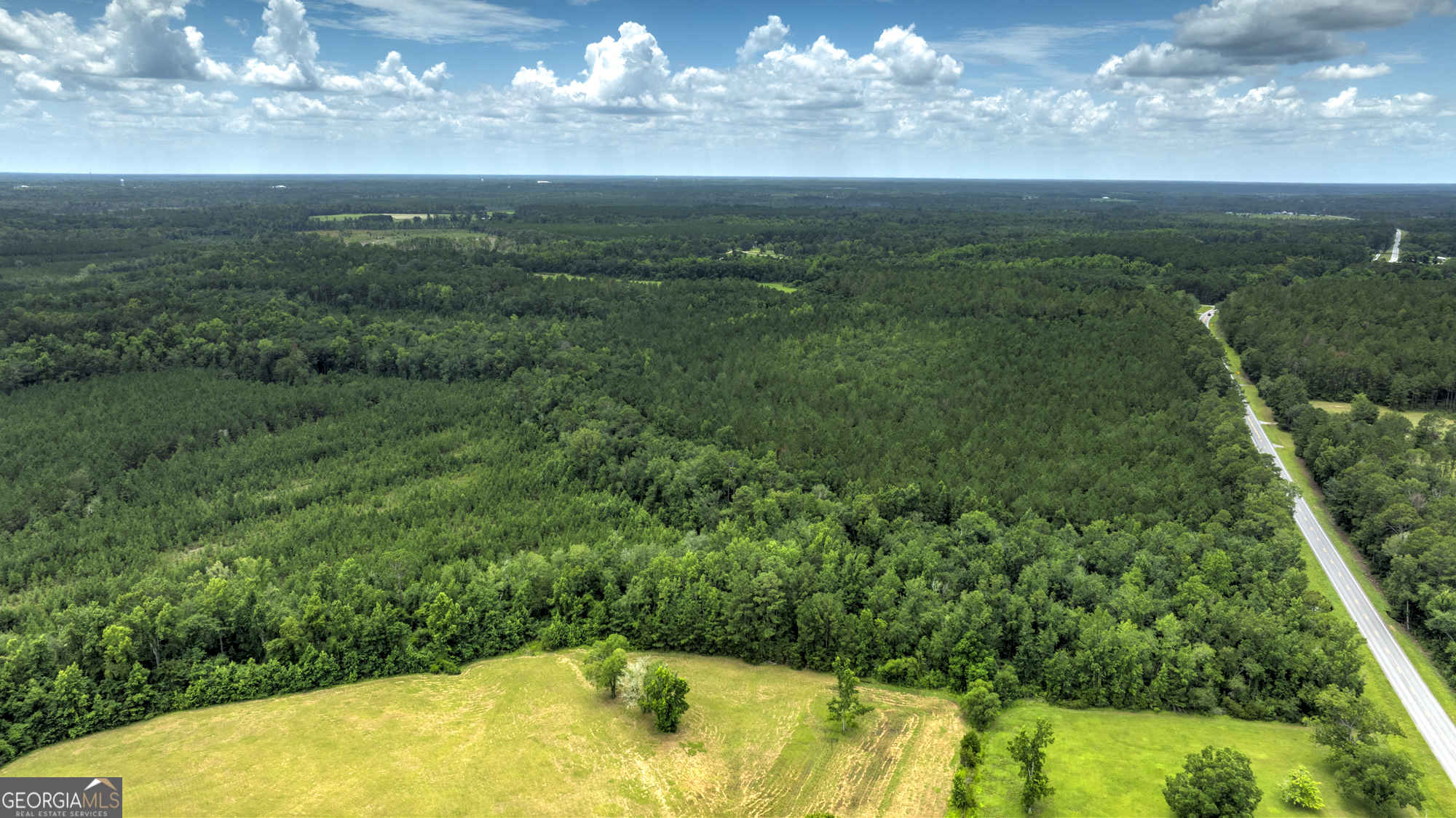 0 Ga Highway 169 Property Photo 11
