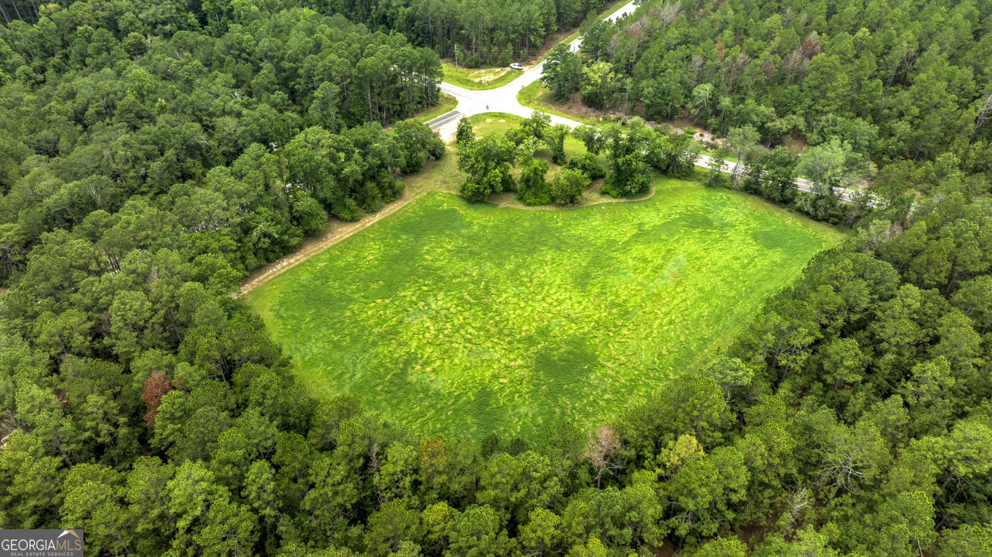 0 Ga Highway 169 Property Photo 12