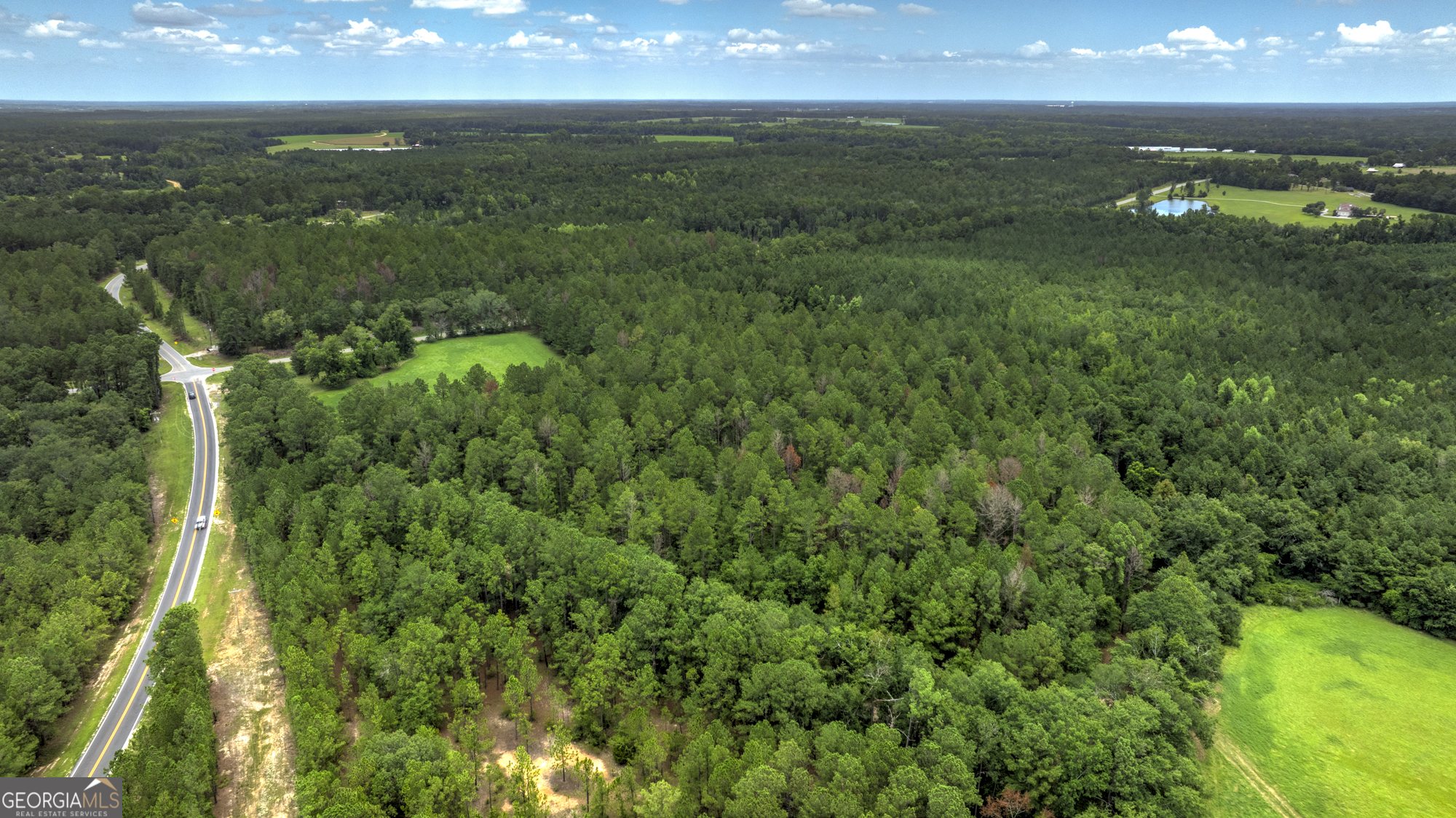 0 Ga Highway 169 Property Photo 13