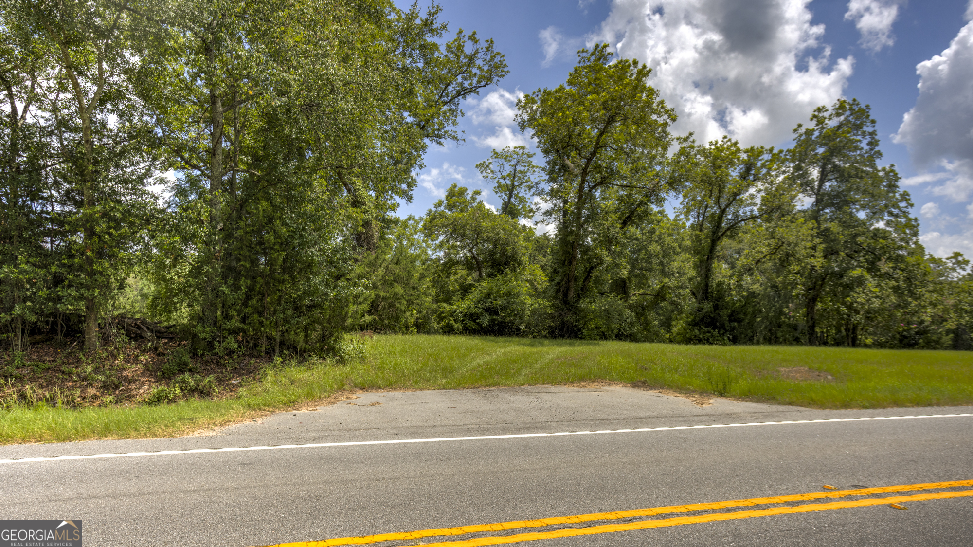 0 Ga Highway 169 Property Photo 14