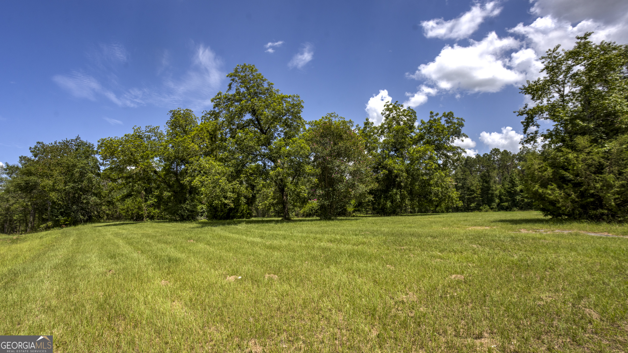 0 Ga Highway 169 Property Photo 15