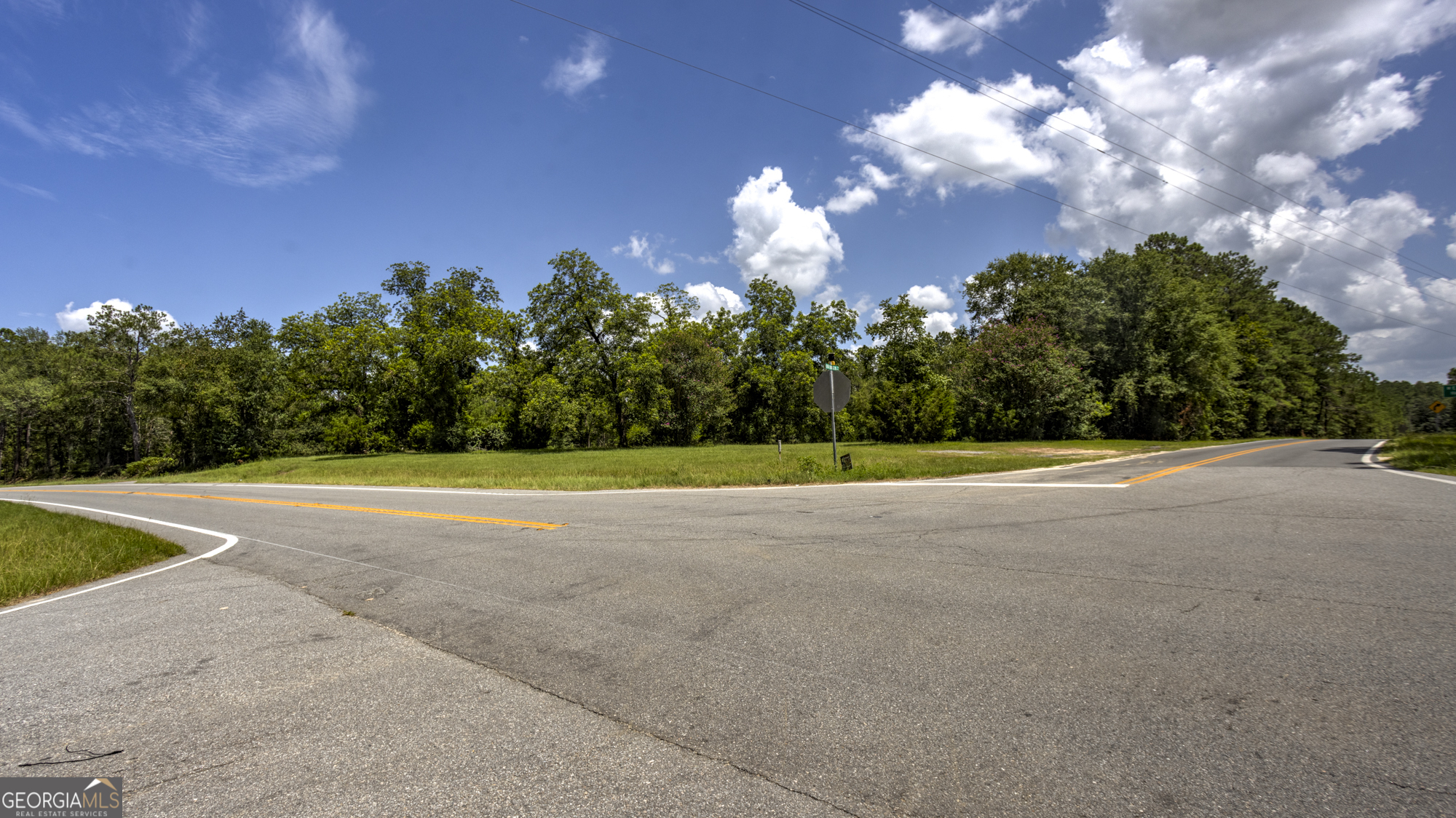 0 Ga Highway 169 Property Photo 16