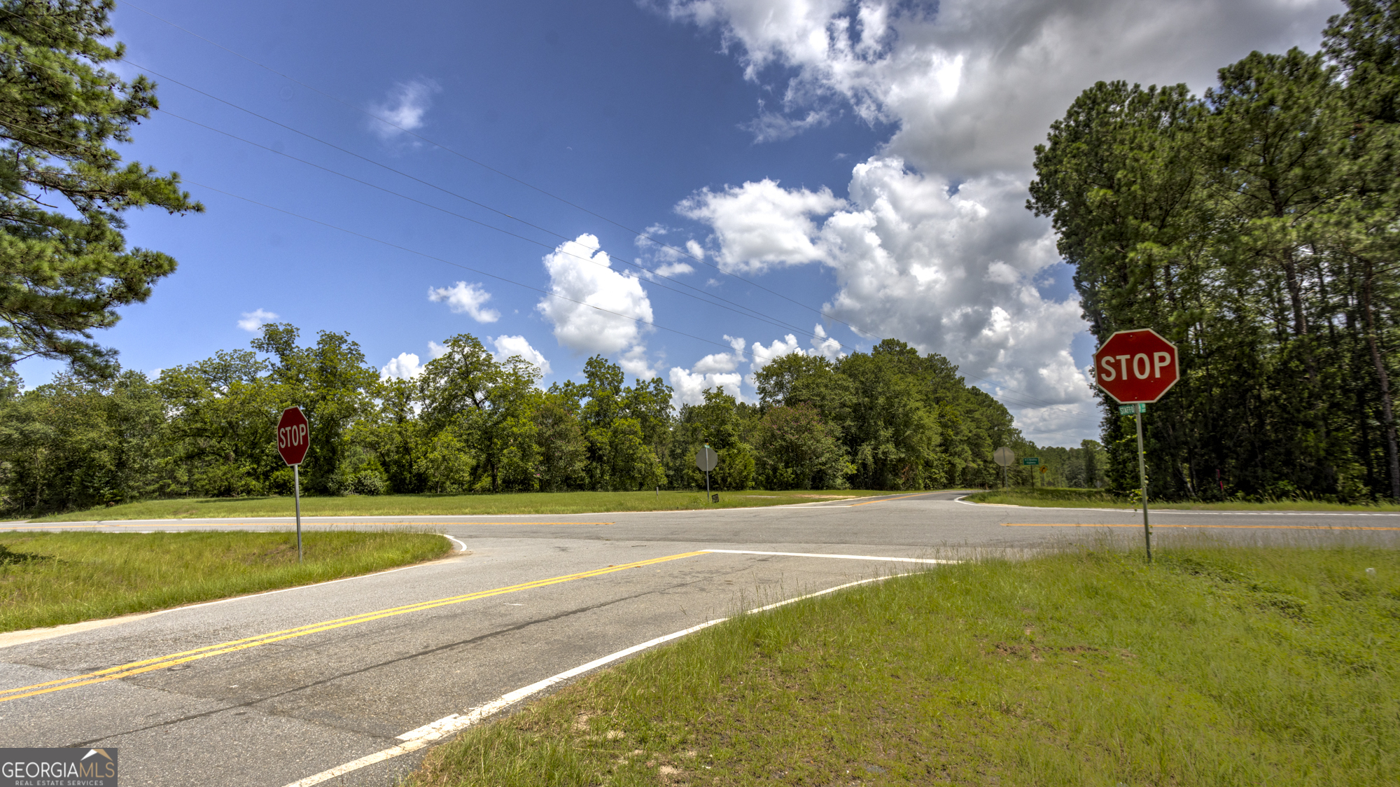 0 Ga Highway 169 Property Photo 17