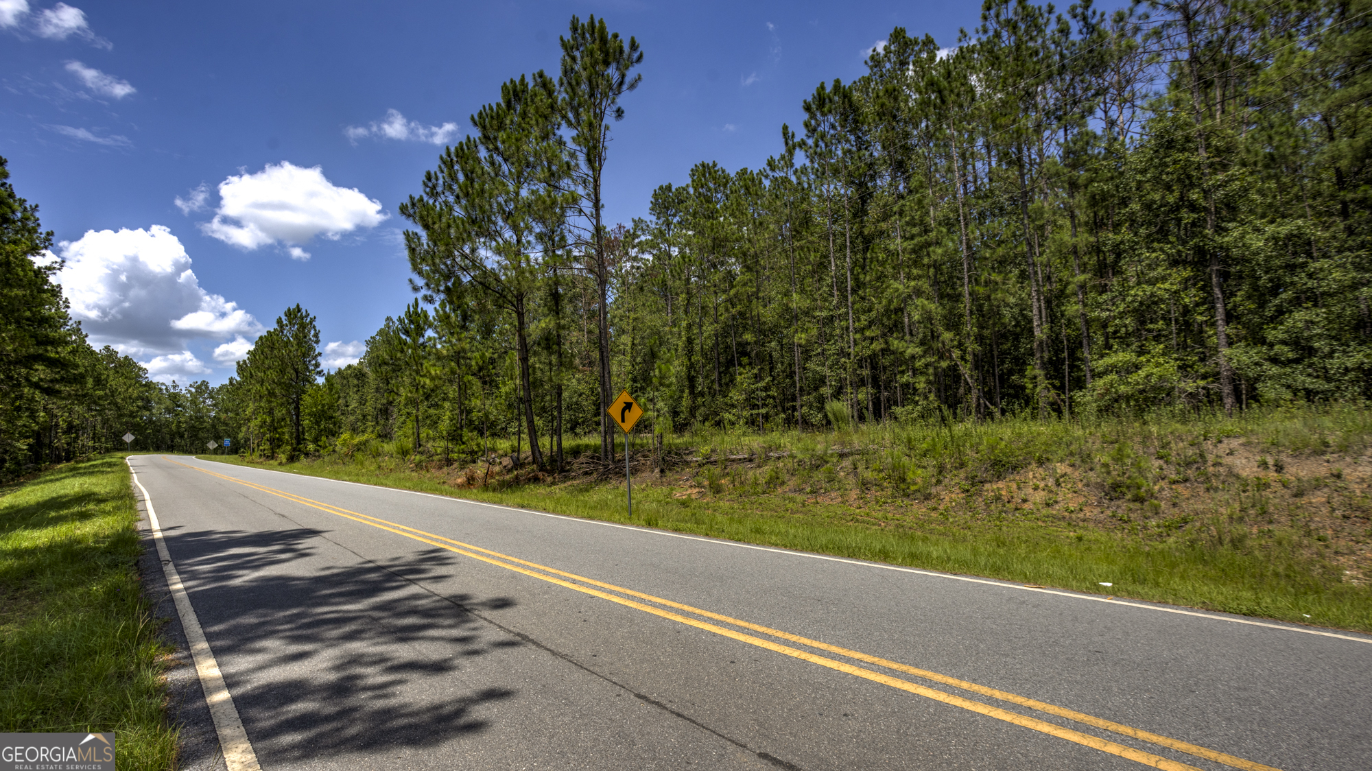 0 Ga Highway 169 Property Photo 18