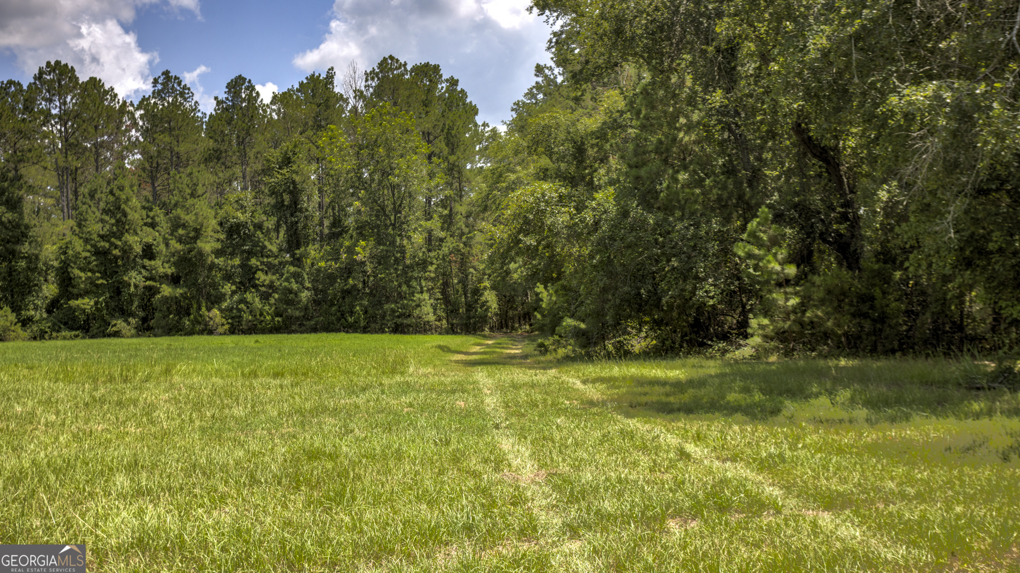 0 Ga Highway 169 Property Photo 19