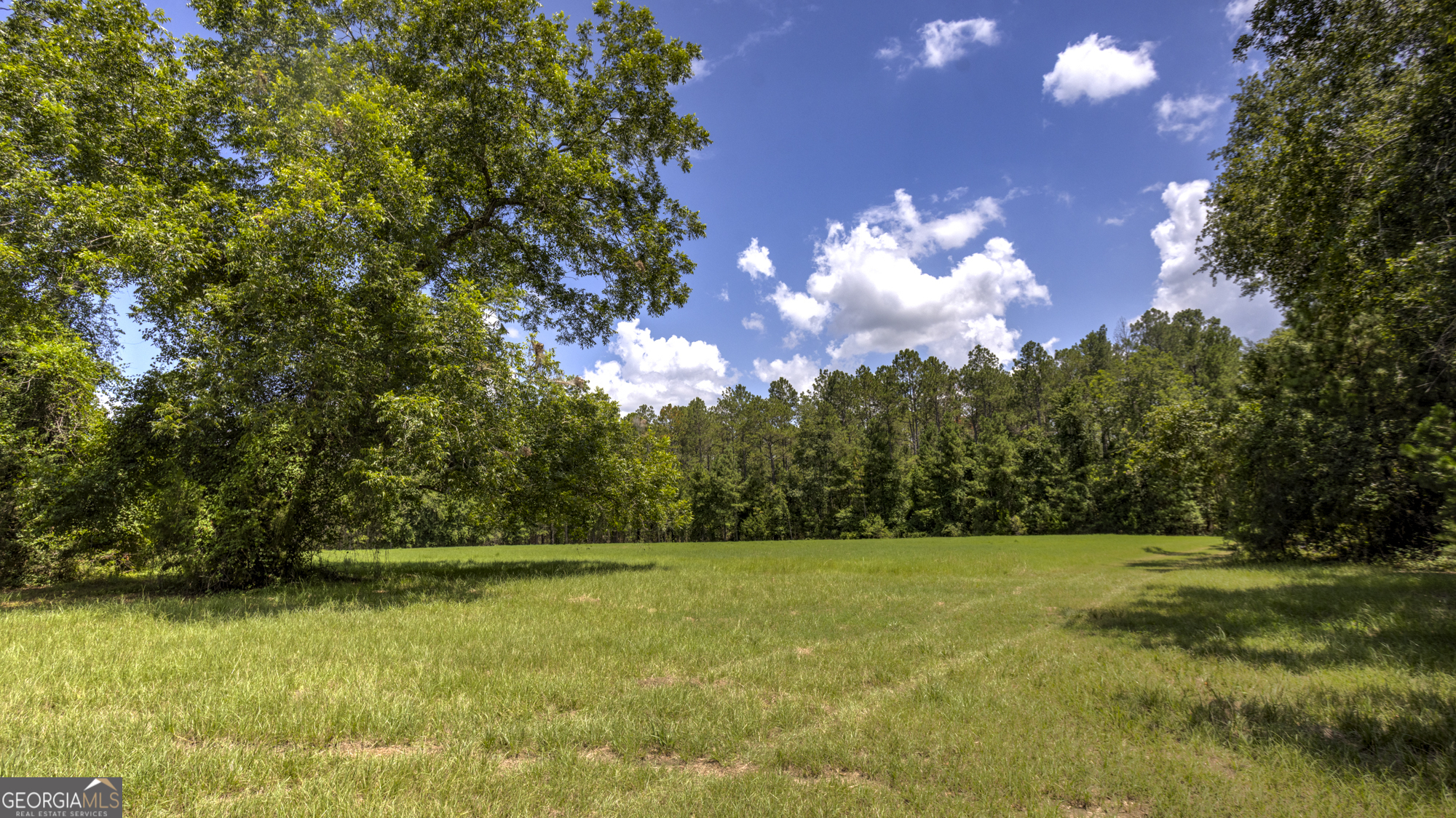 0 Ga Highway 169 Property Photo 20