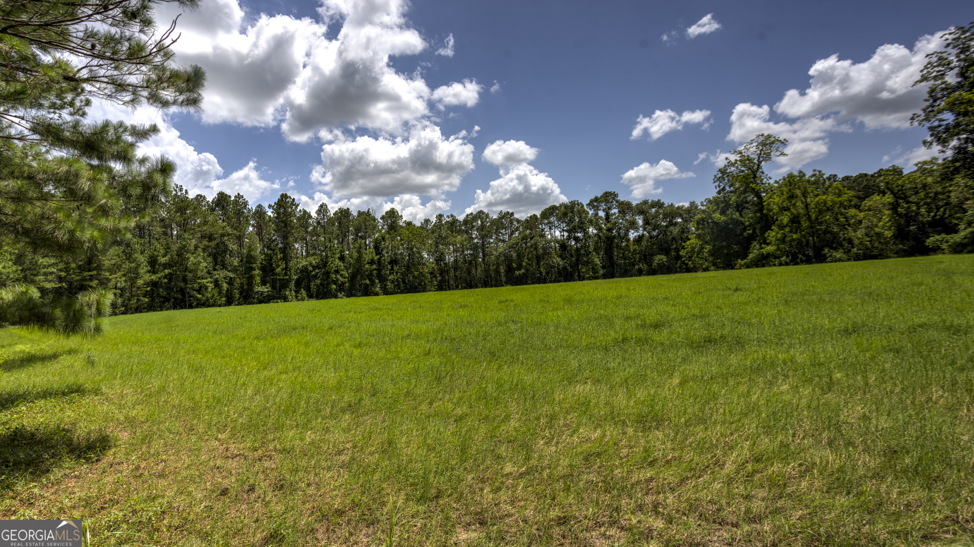 0 Ga Highway 169 Property Photo 21