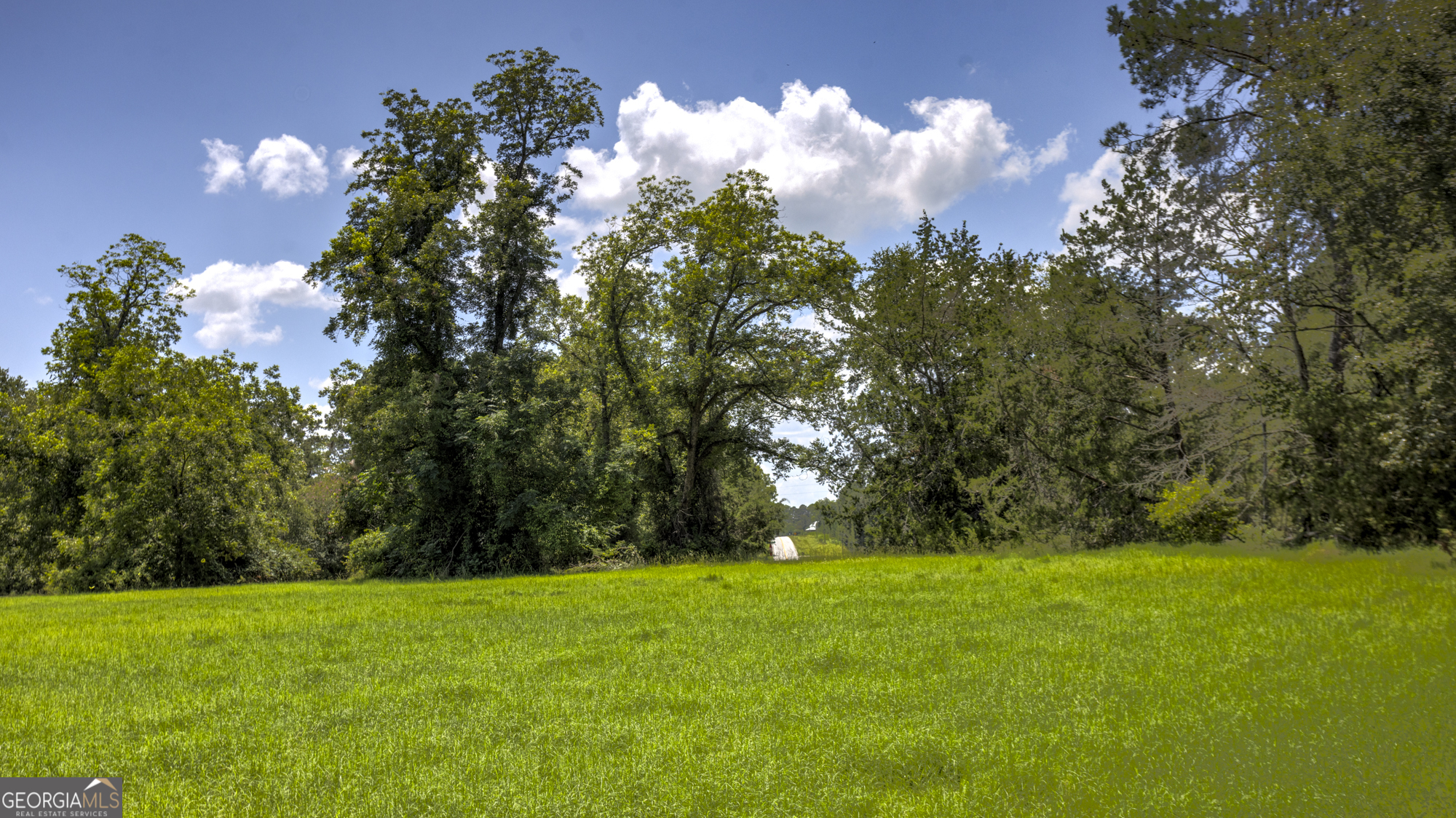 0 Ga Highway 169 Property Photo 23