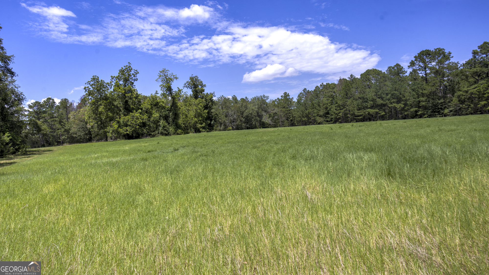 0 Ga Highway 169 Property Photo 24