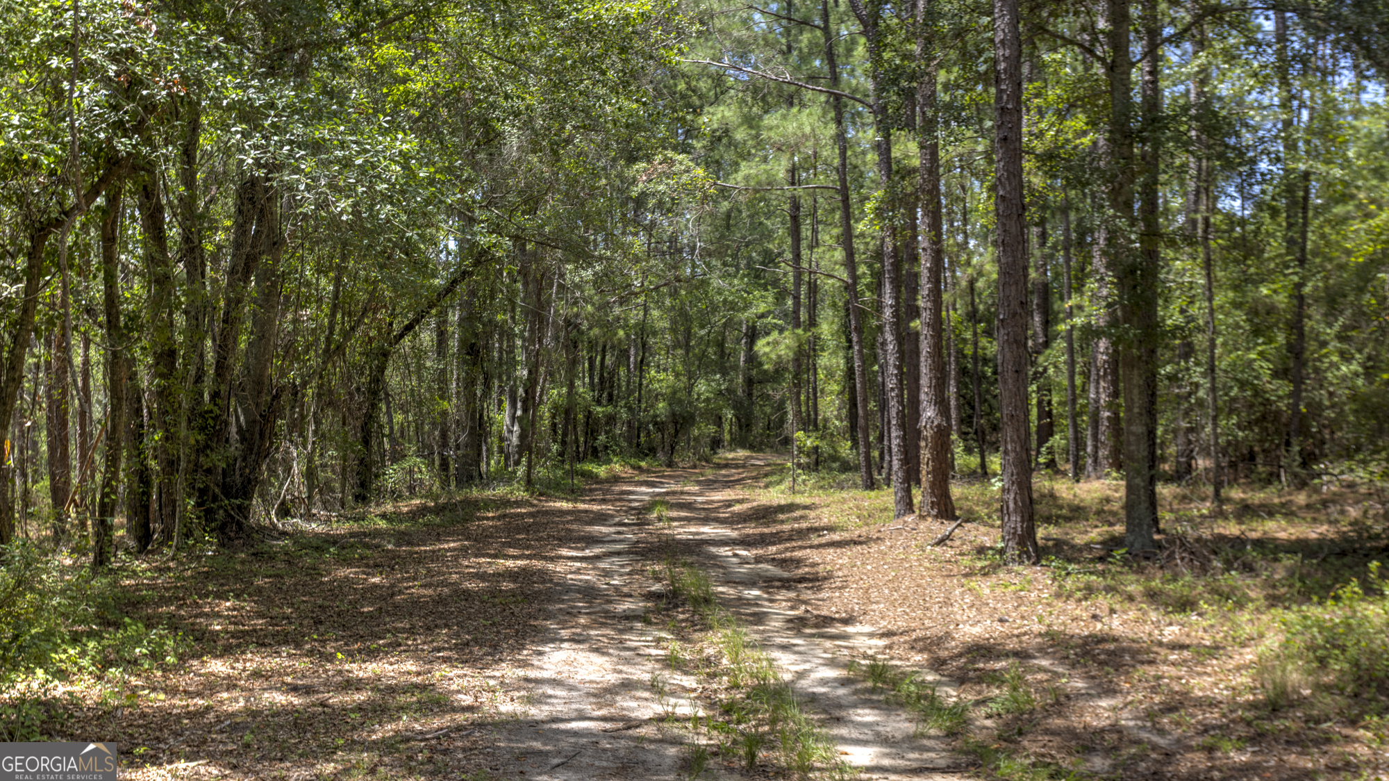 0 Ga Highway 169 Property Photo 25