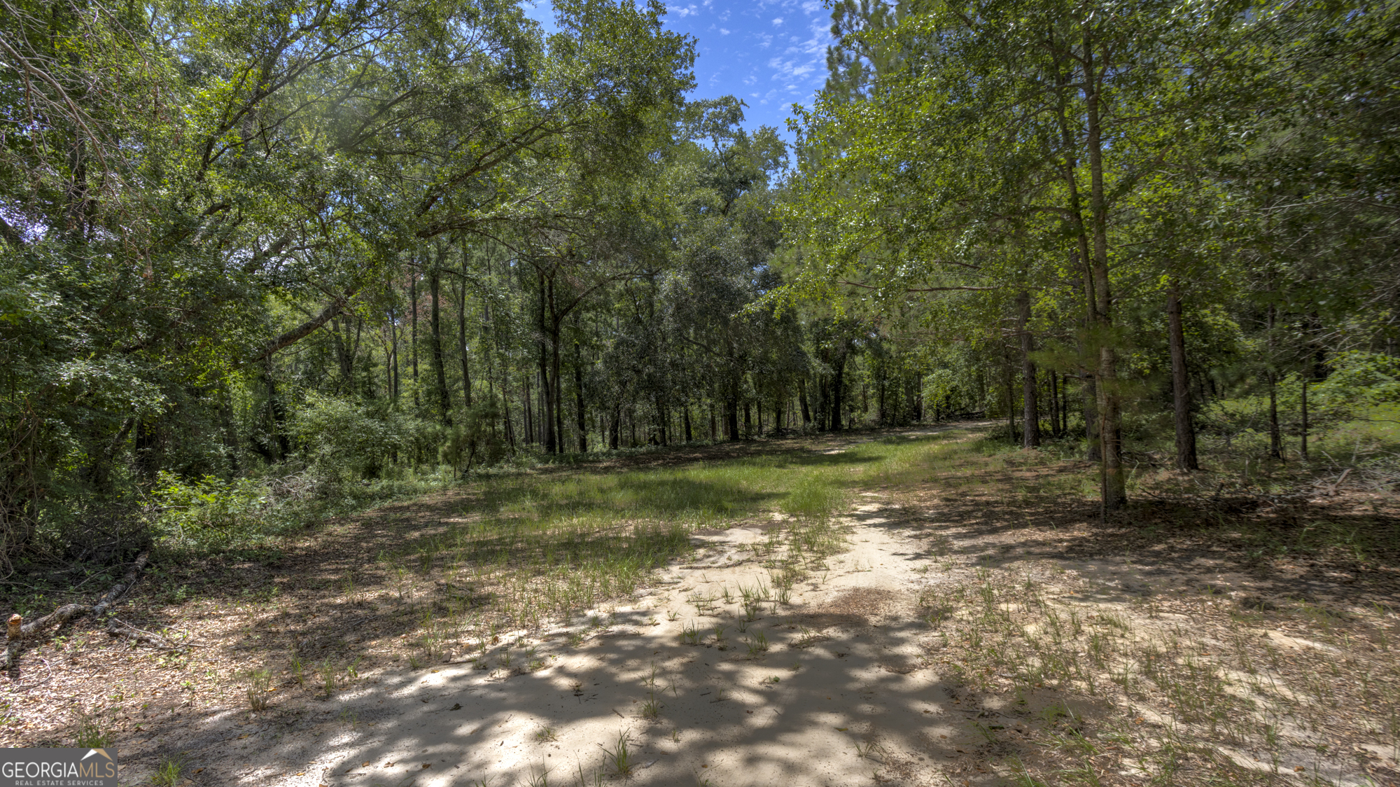 0 Ga Highway 169 Property Photo 26
