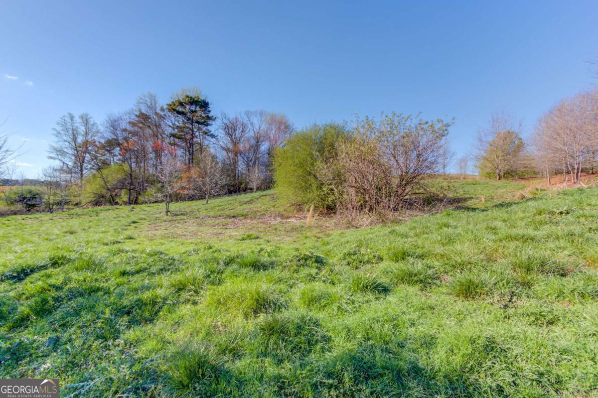 334 Brock Road Property Photo 17