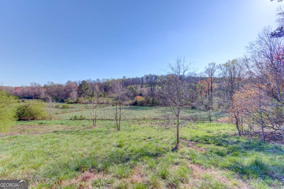 334 Brock Road Property Photo 18