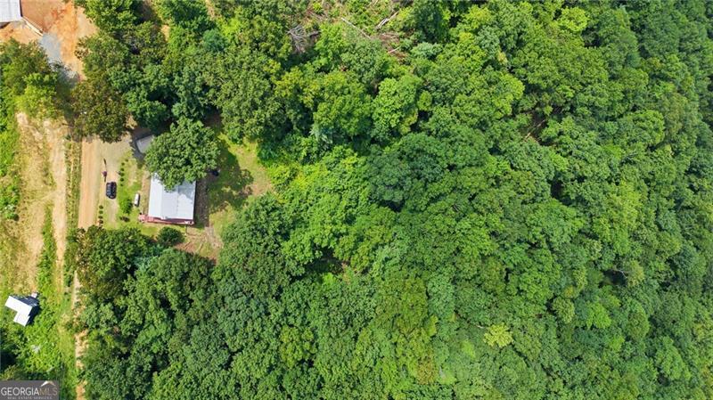 539 Dowel Circle Property Photo 41