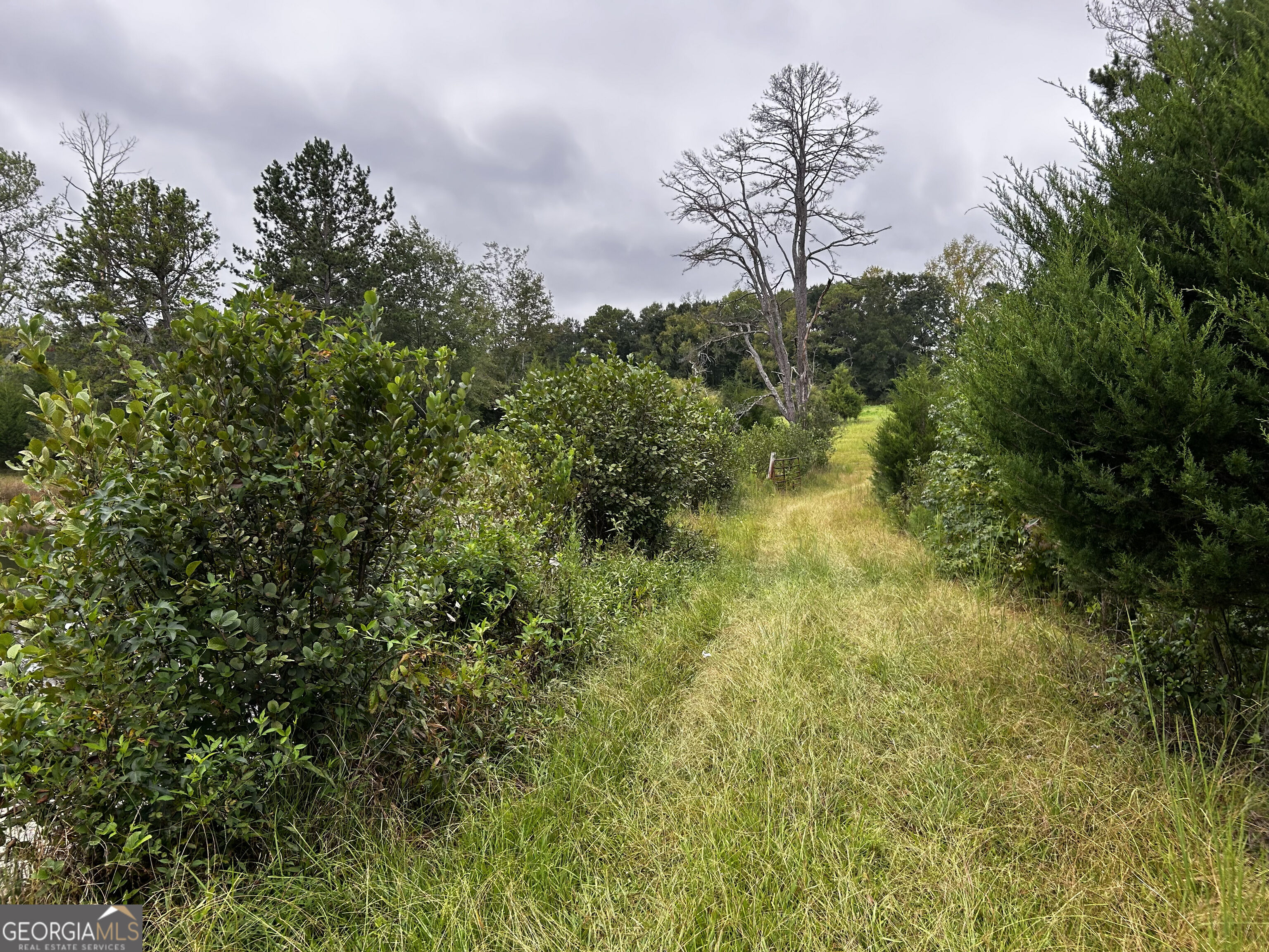 211 Toney Road Property Photo 17