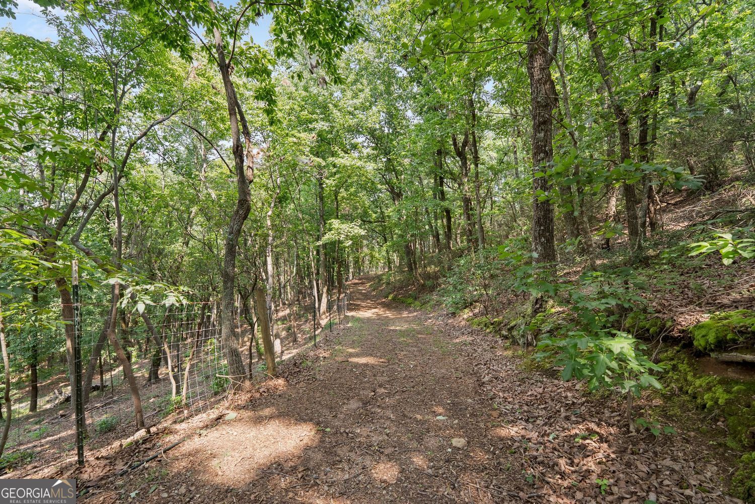 265 Lynda Lane Property Photo 48