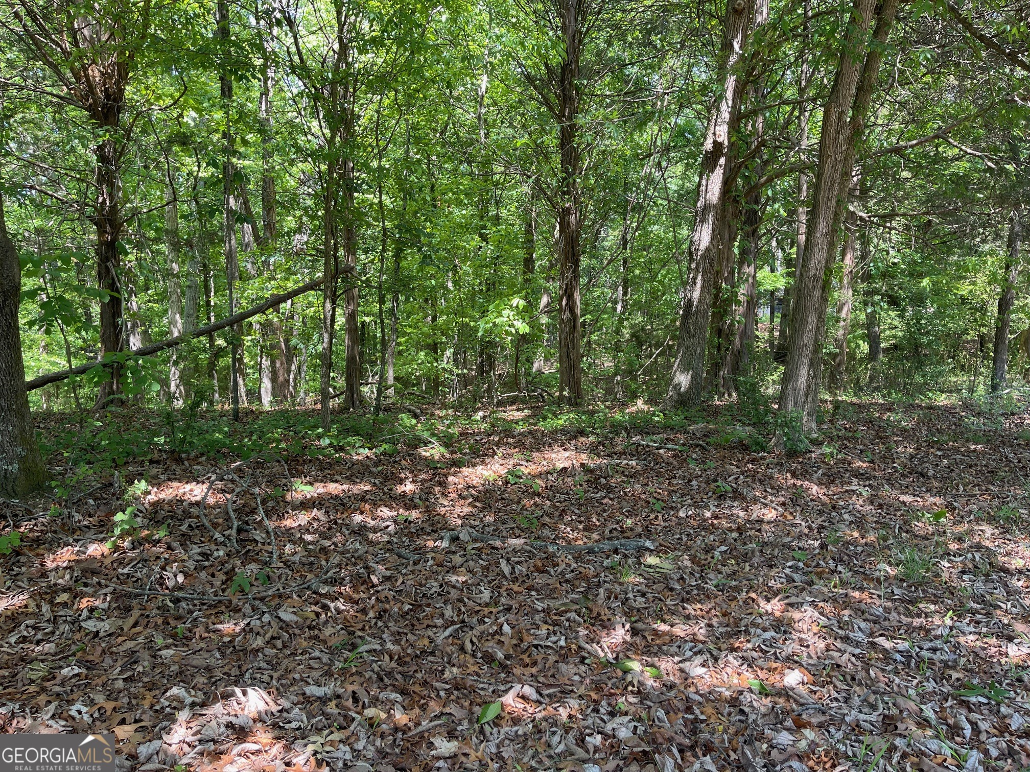TRACT 1A CHALCREST Way Property Photo 1