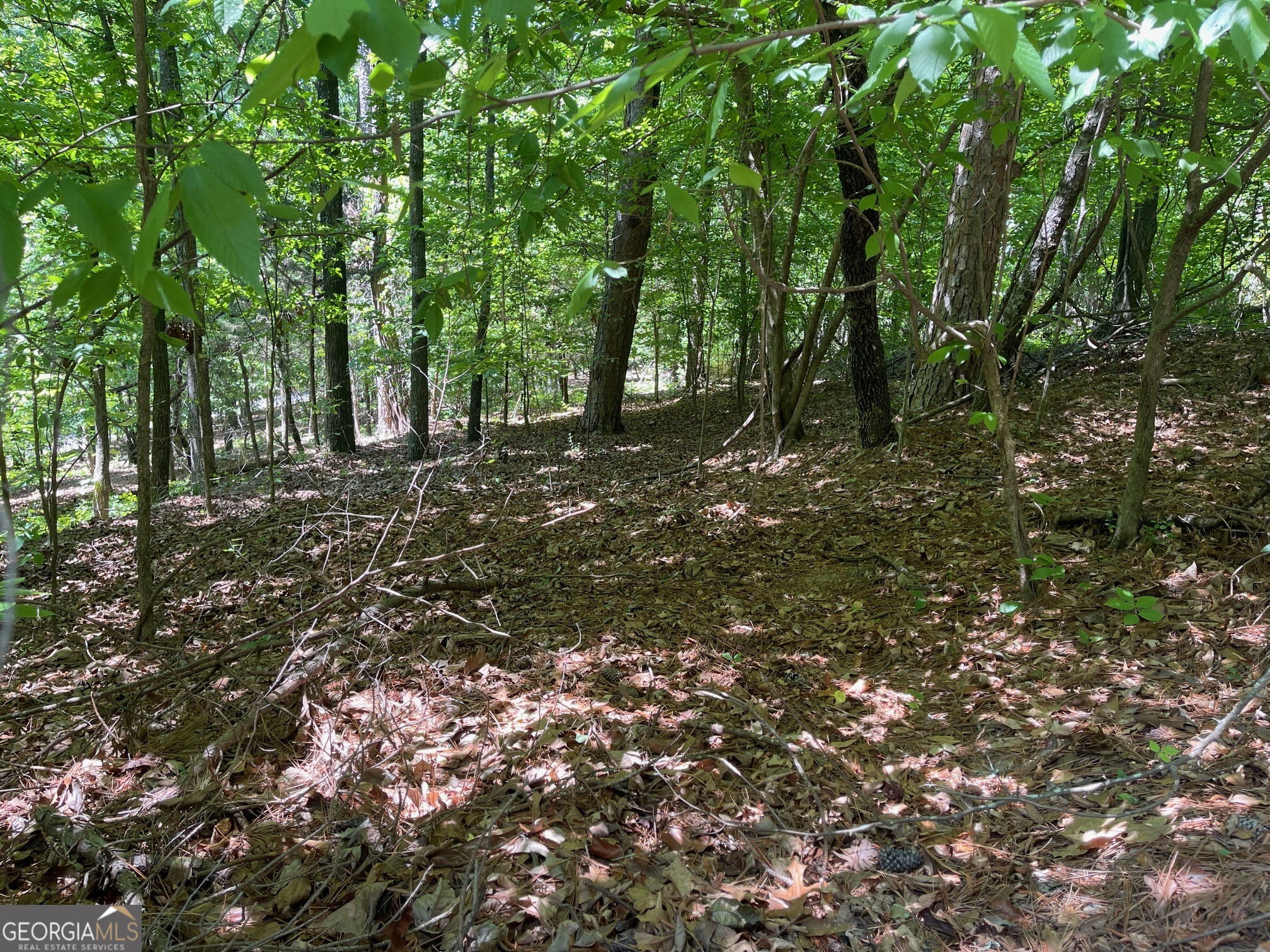 Tract 1a Chalcrest Way Property Photo 5