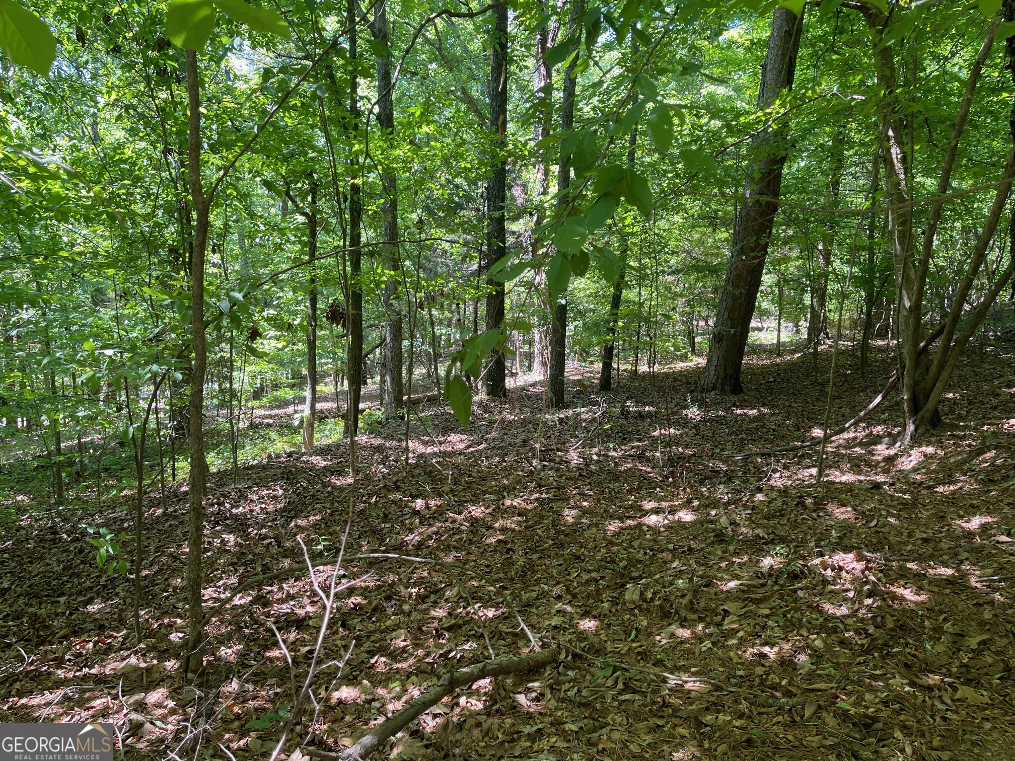 Tract 1a Chalcrest Way Property Photo 6