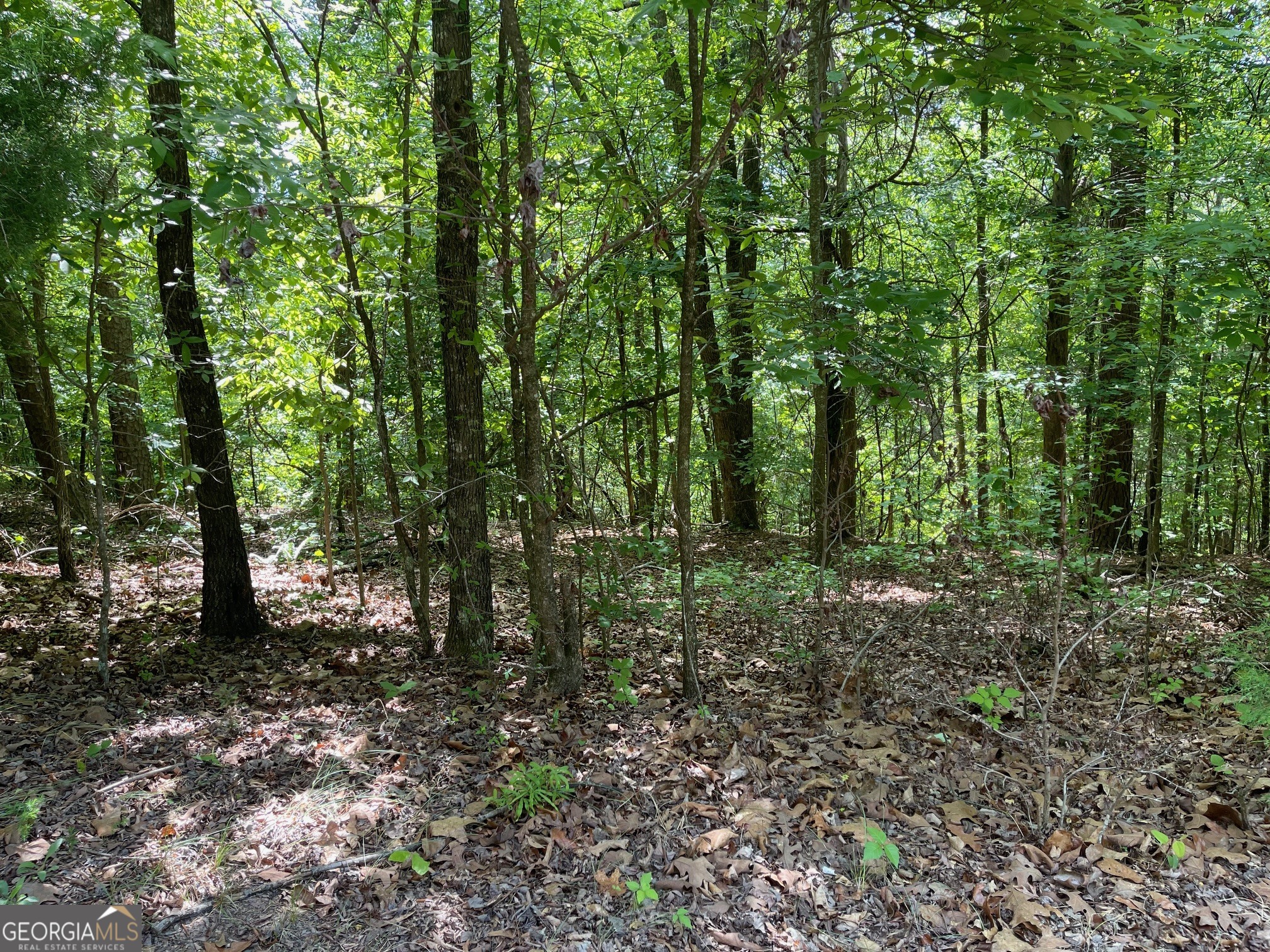 Tract 1a Chalcrest Way Property Photo 7