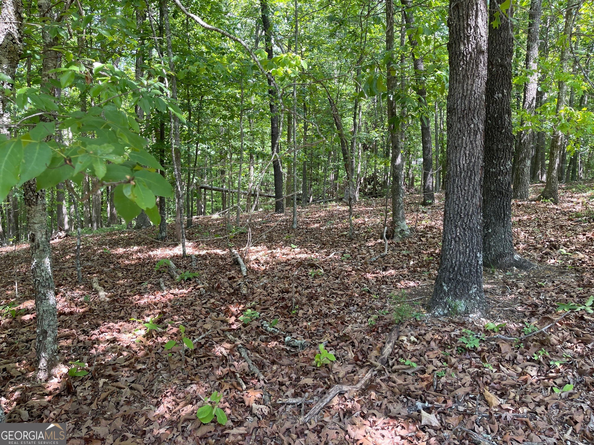 Tract 1a Chalcrest Way Property Photo 8