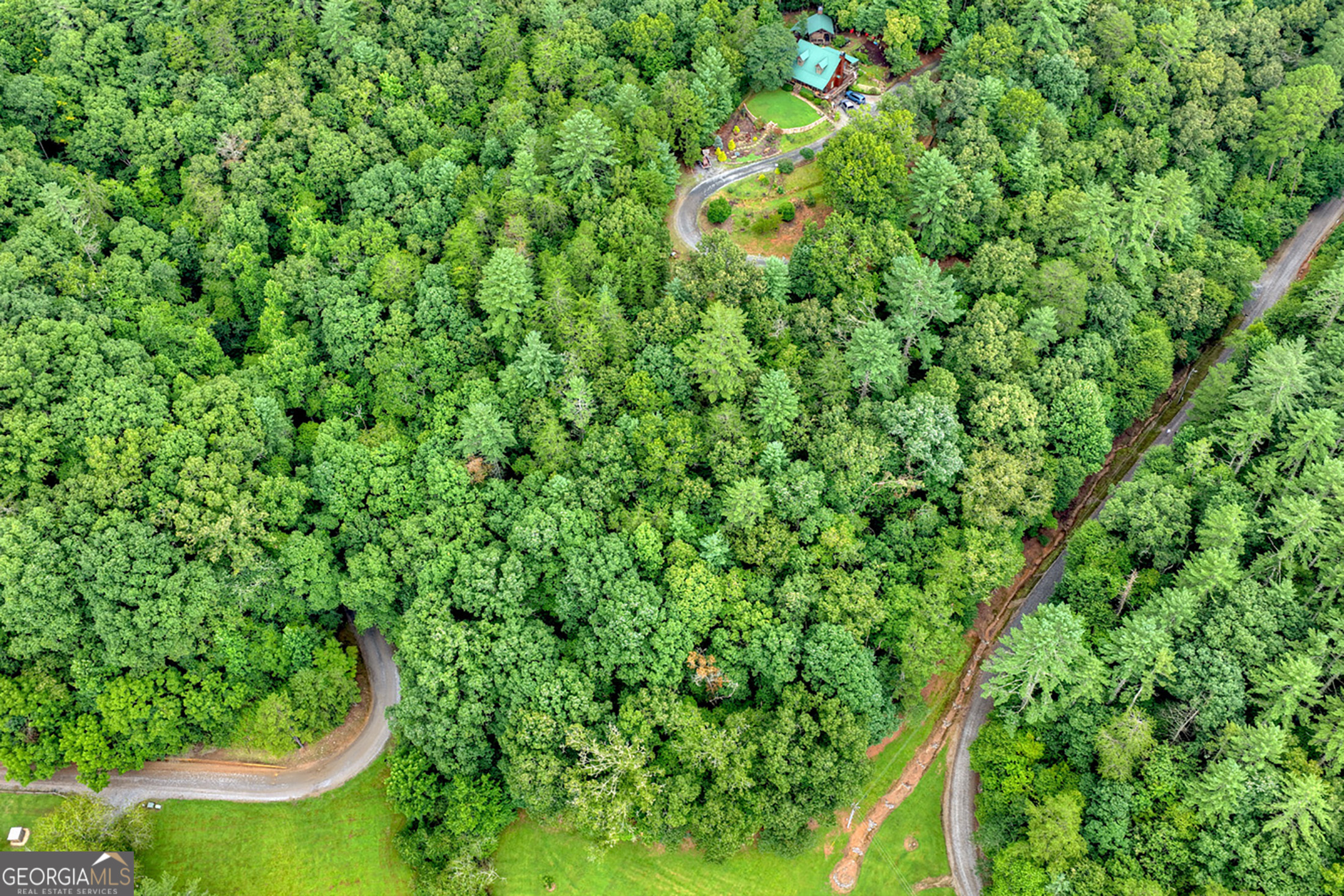 Lot 5b Toccoa River Forest Property Photo 3