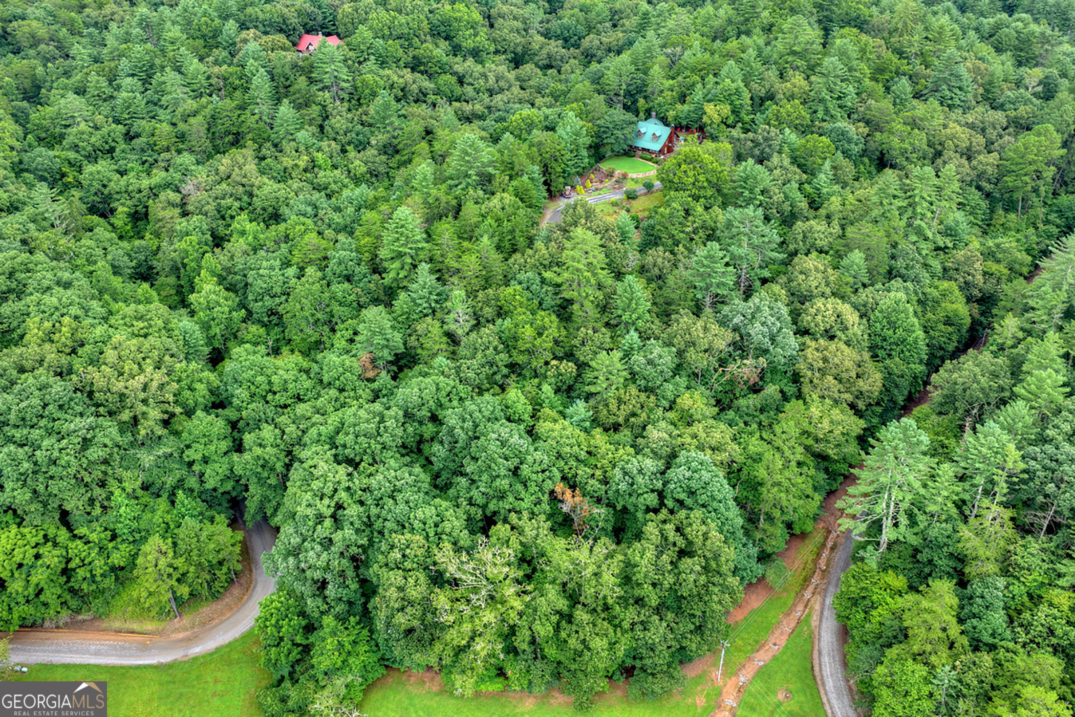 Lot 5b Toccoa River Forest Property Photo 4