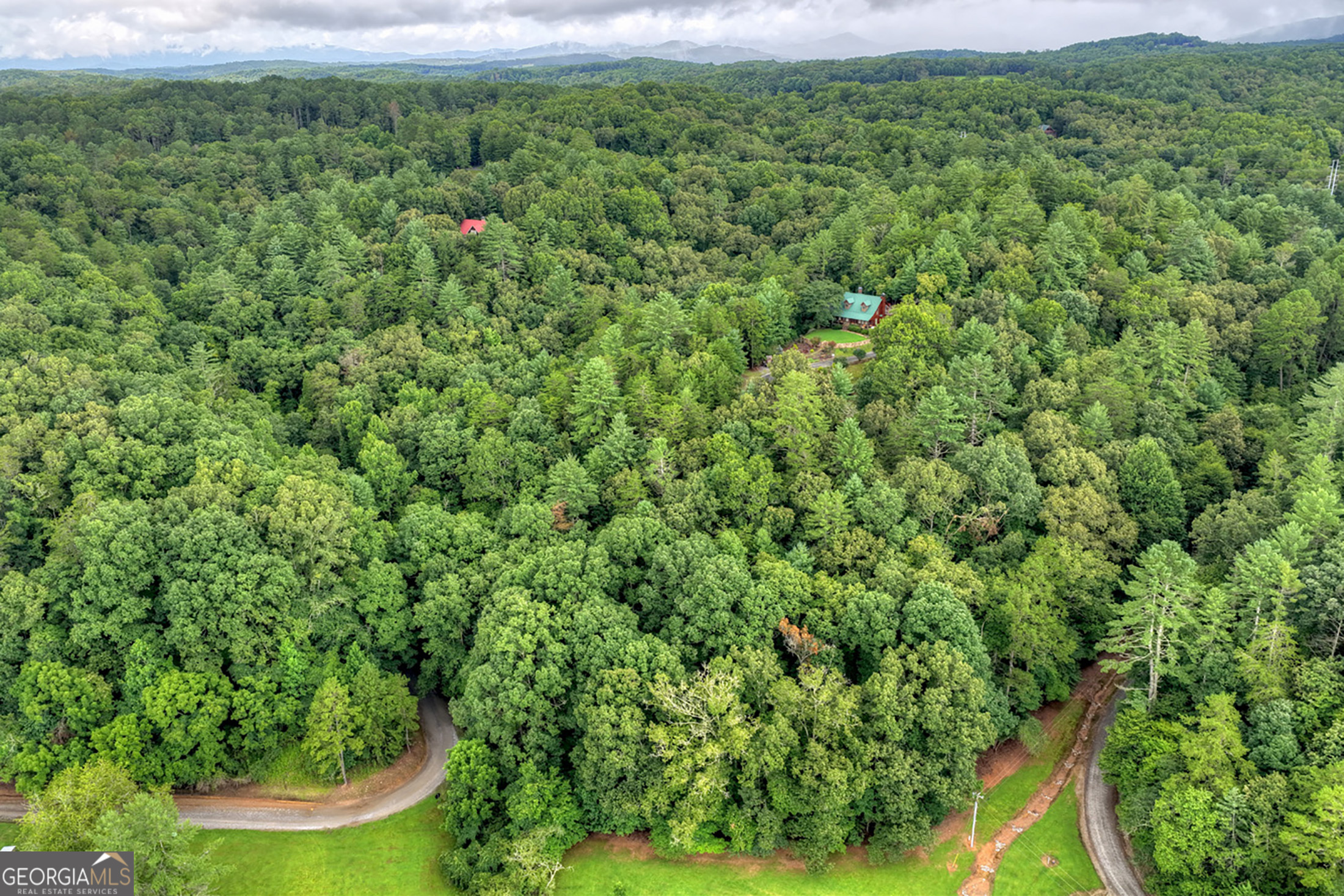 Lot 5b Toccoa River Forest Property Photo 5