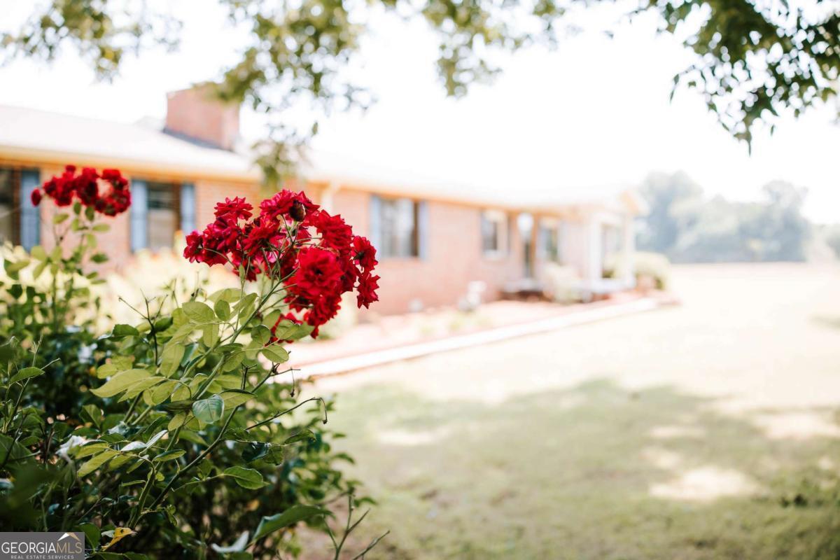 51 Brandon Circle Property Photo 4