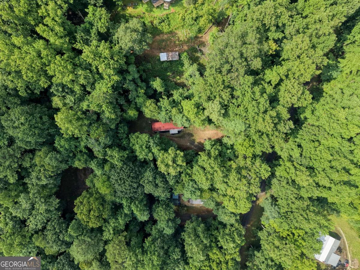 8223 True Love Mountain Road Property Photo 25