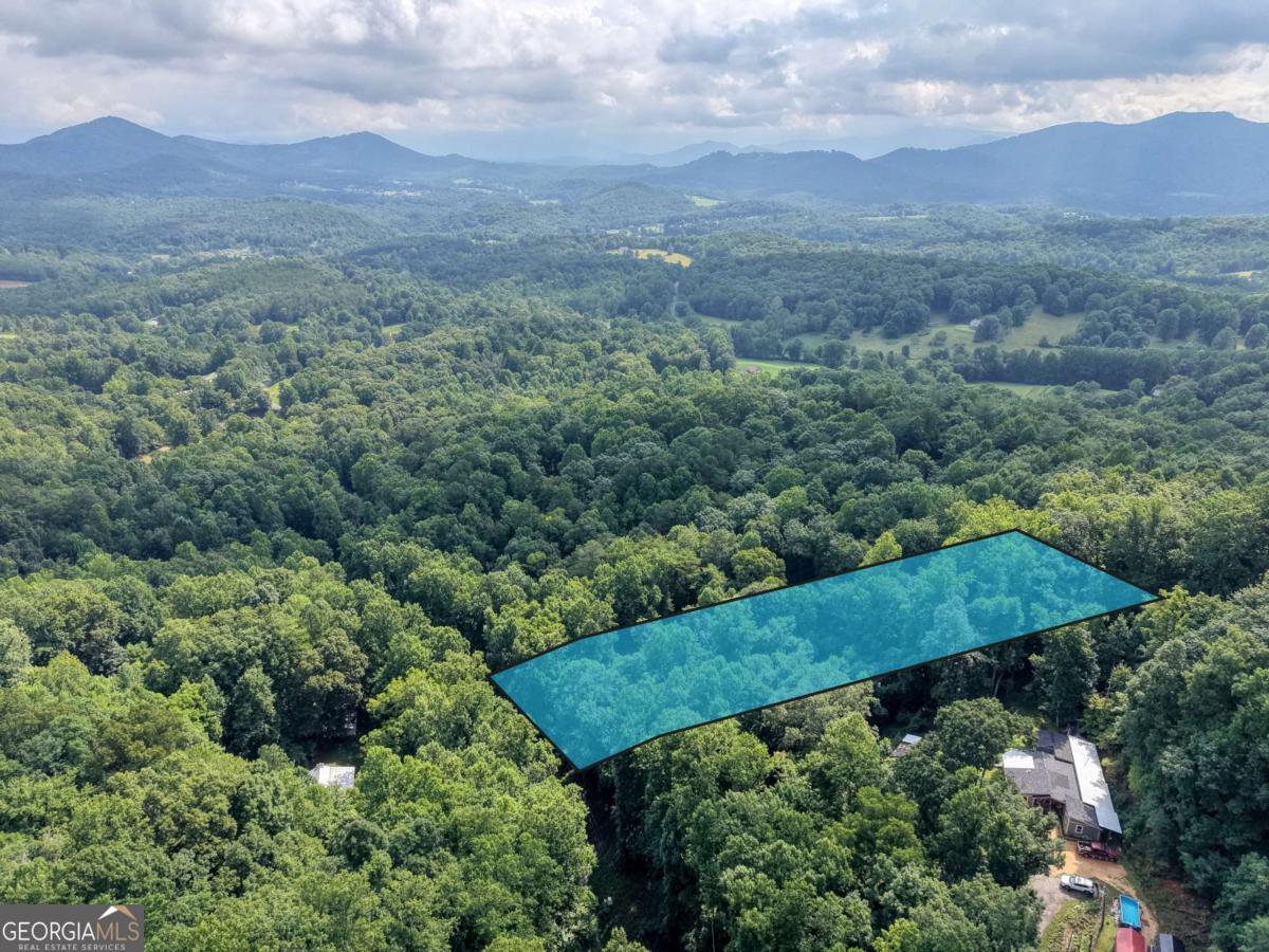 8223 True Love Mountain Road Property Photo 27