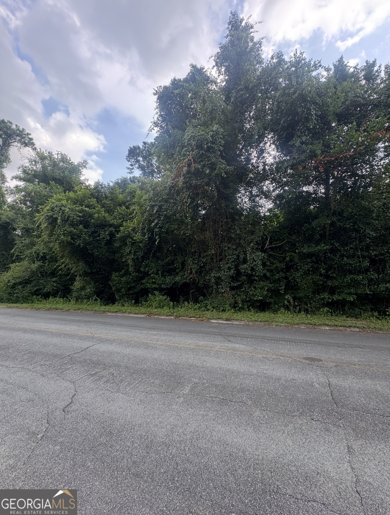 2.22 Acres Semi Seminole Trail Property Photo 1