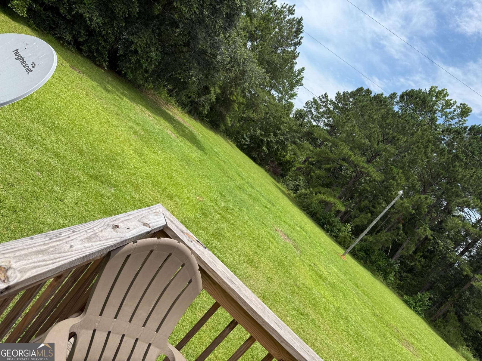 1074 Faceville Attapulgus Road Property Photo 16