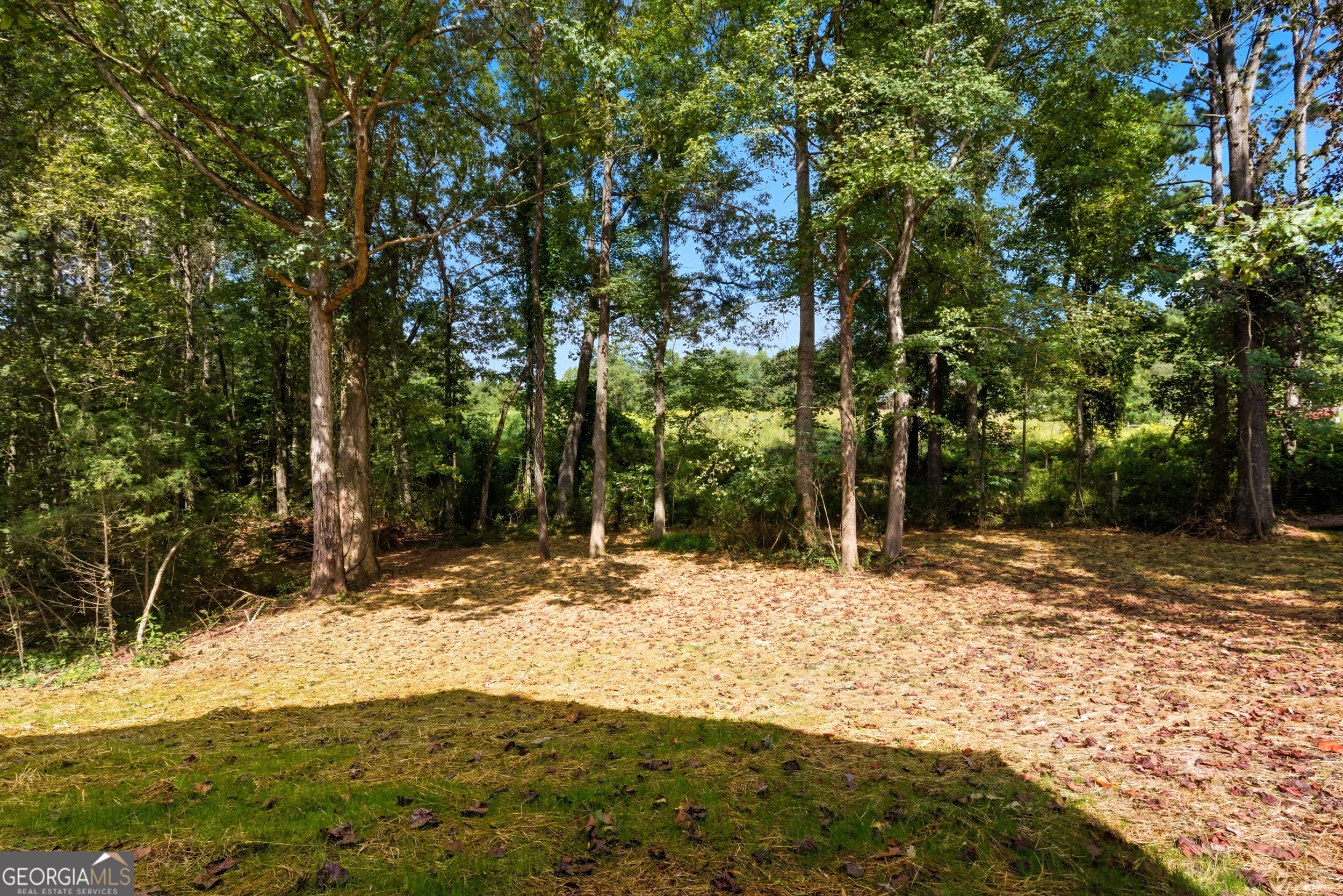 193 Tabitha Page Lane Property Photo 24